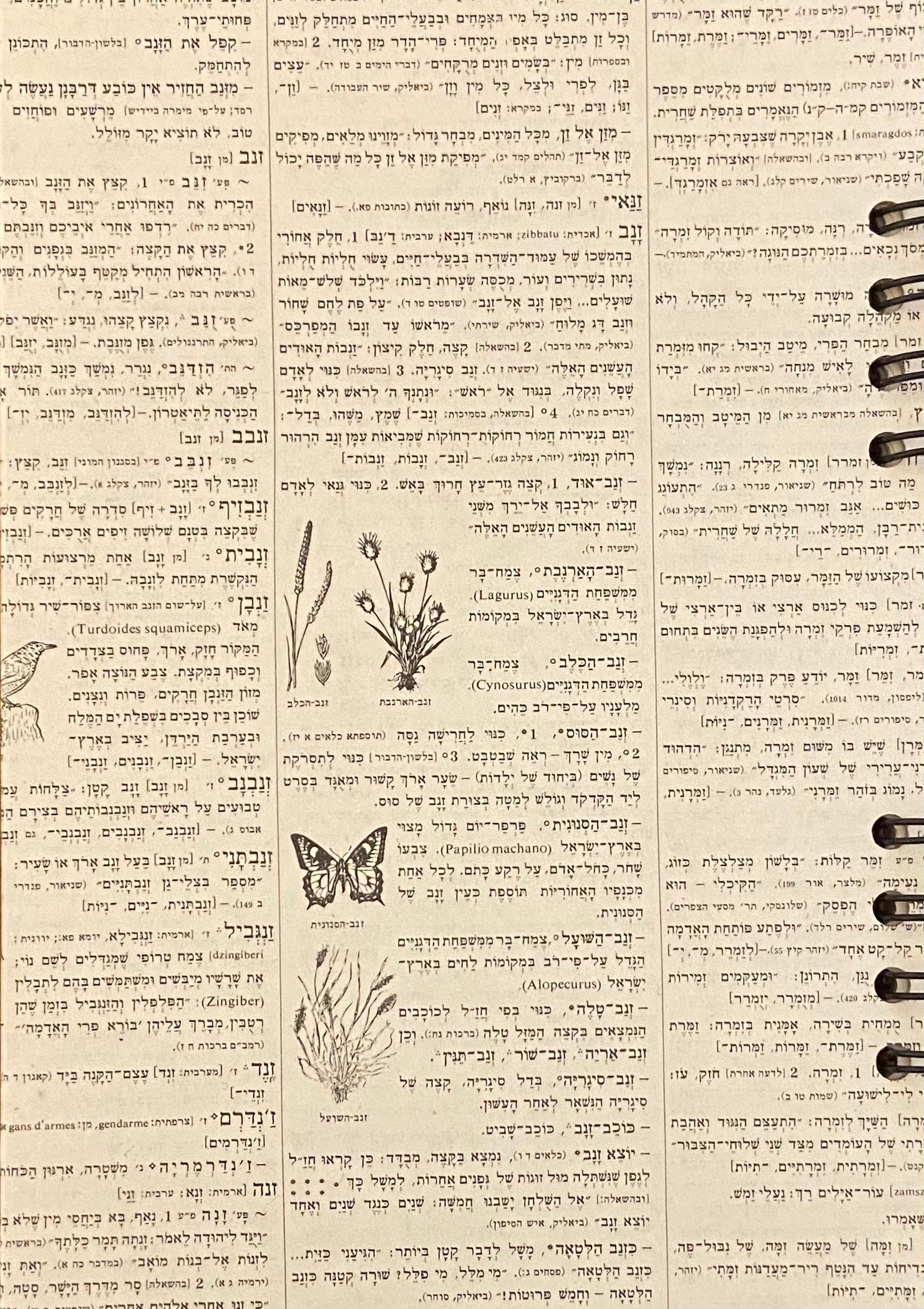 מחברת ספירלה בעבודת יד: דפים חלקים / המחברות של מעיין: 7#