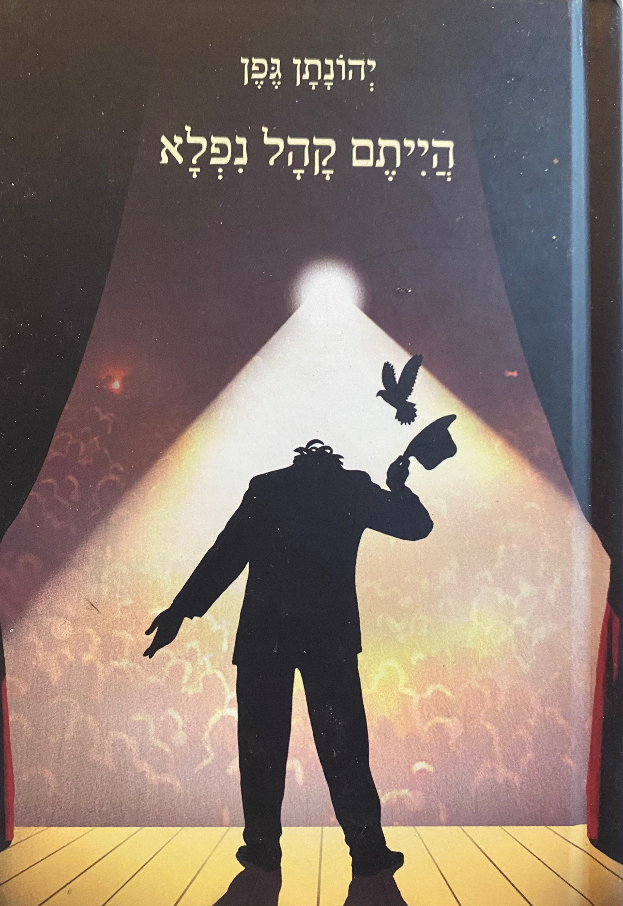 הייתם קהל נפלא/ שירים לילדים גדולים