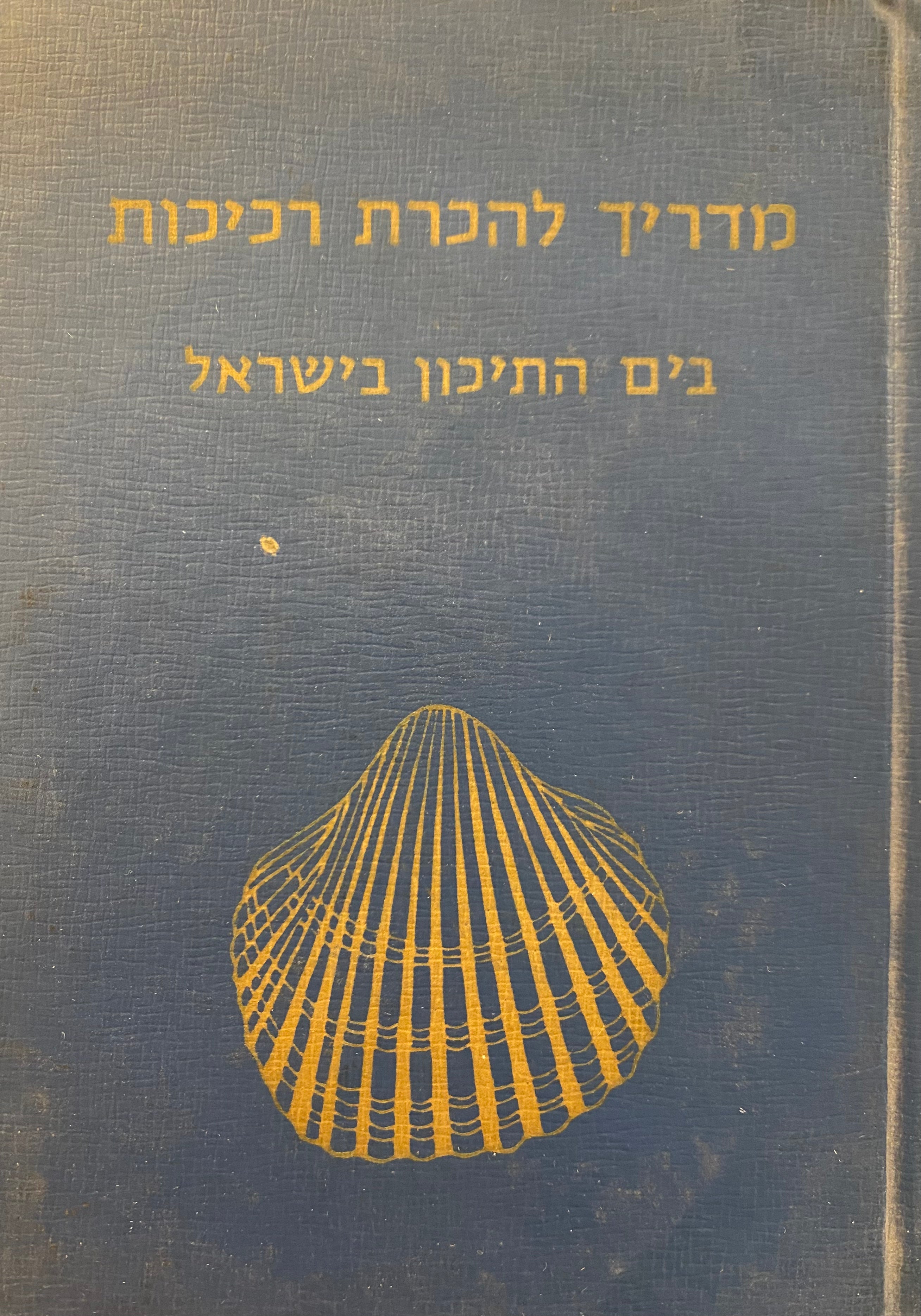 מדריך להכרת רכיכות / בים התיכון ובישראל