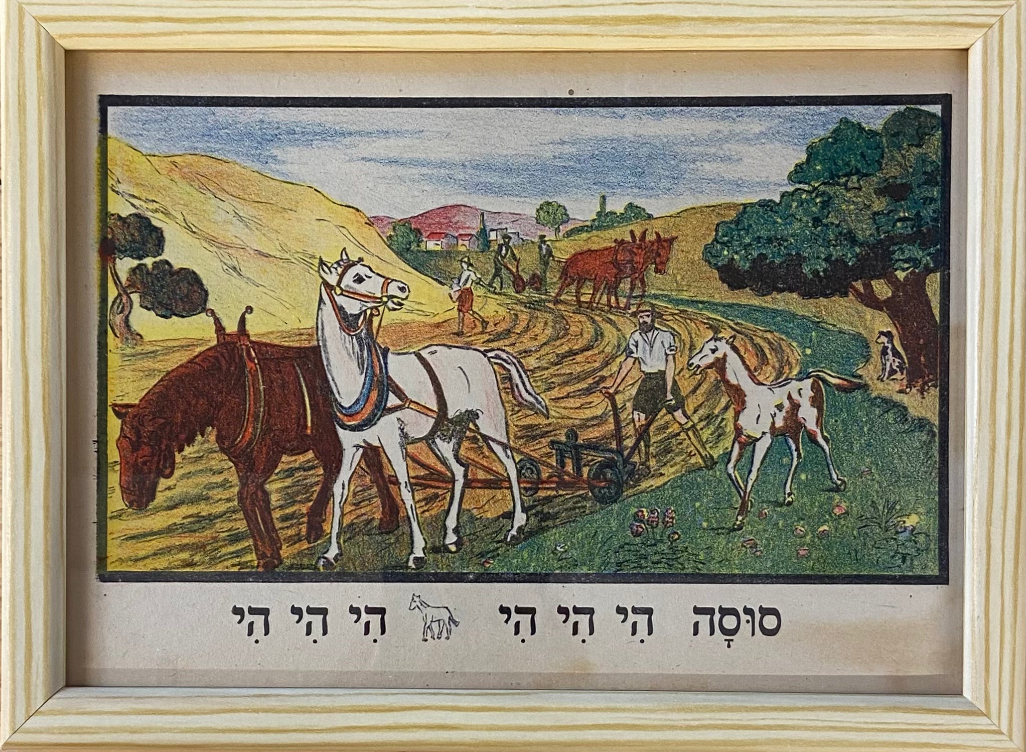 סוסה הי הי / מתוך הספר אלף מאת זאב רבן ומאיר גור אריה