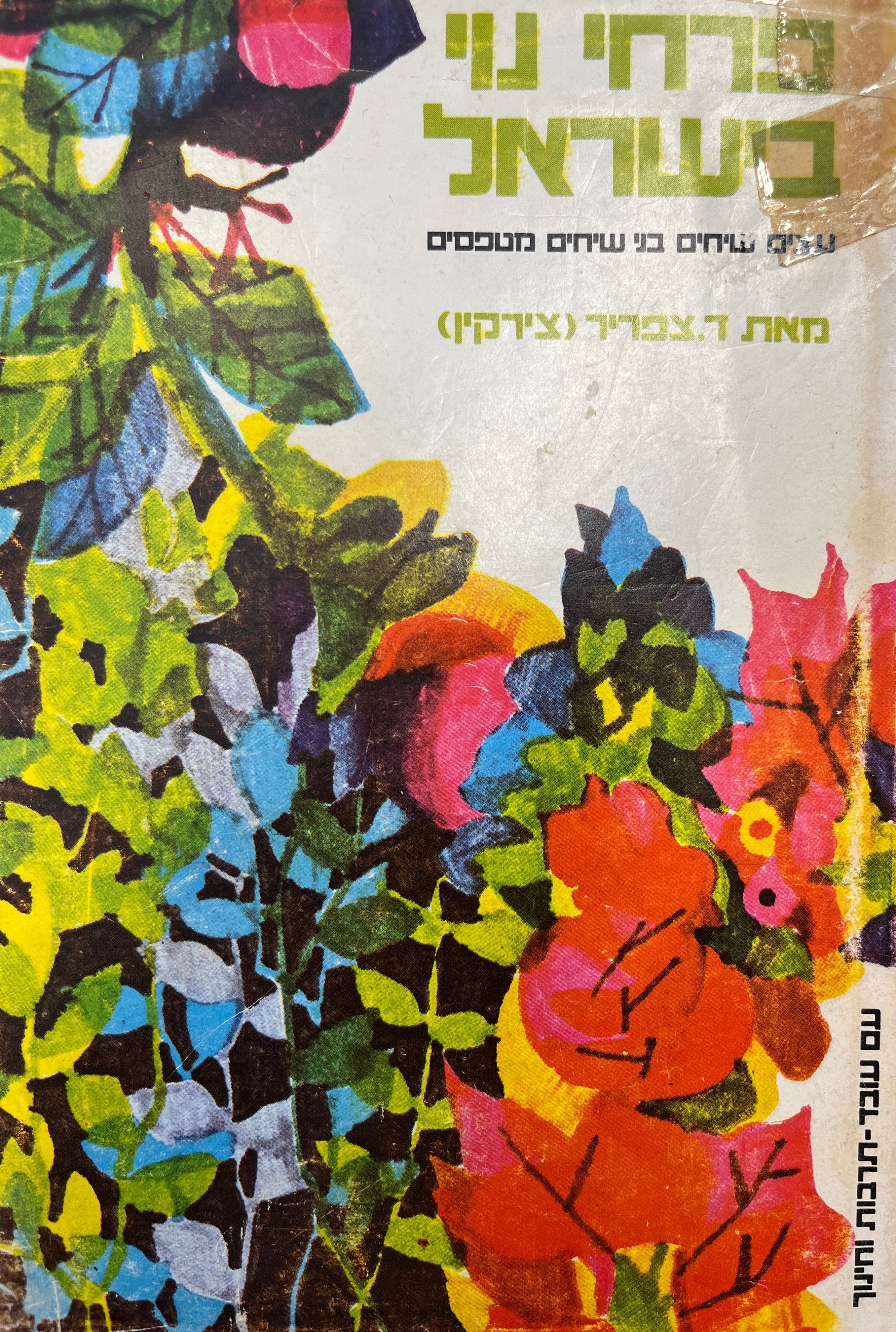 פרחי נוי בישראל / עצים שיחים בני שיחים מטפסים