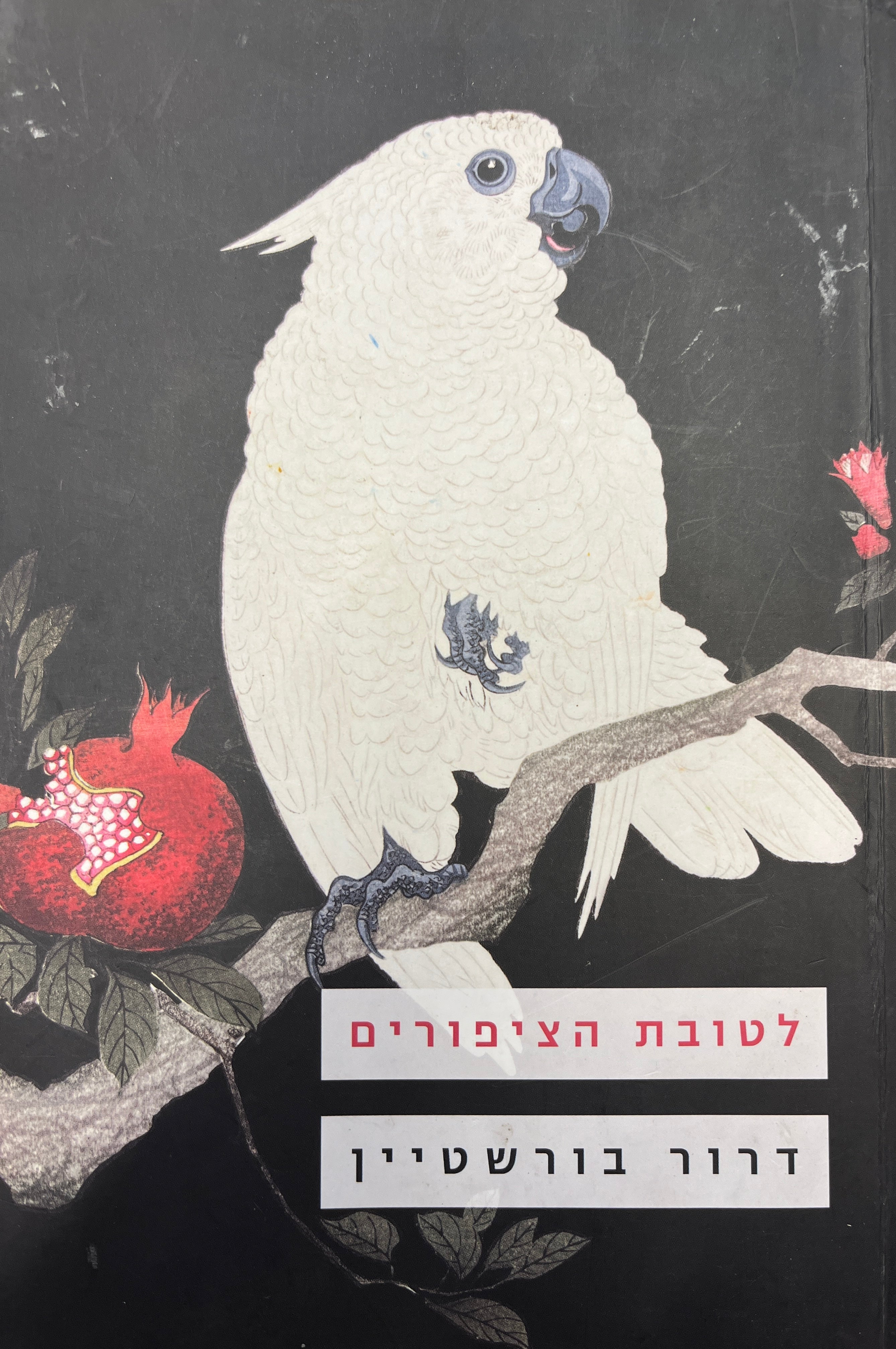 לטובת הציפורים