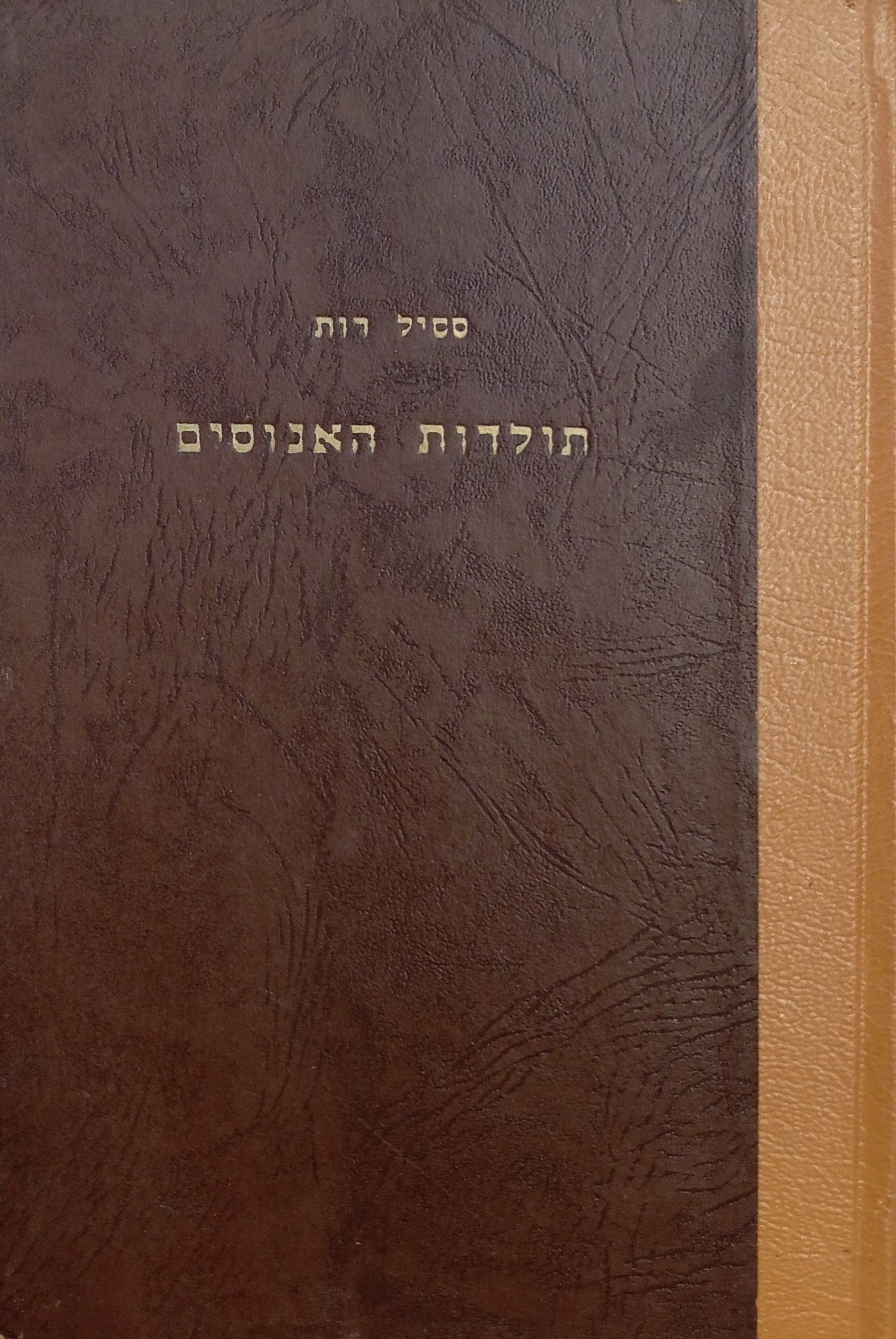 תולדות האנוסים