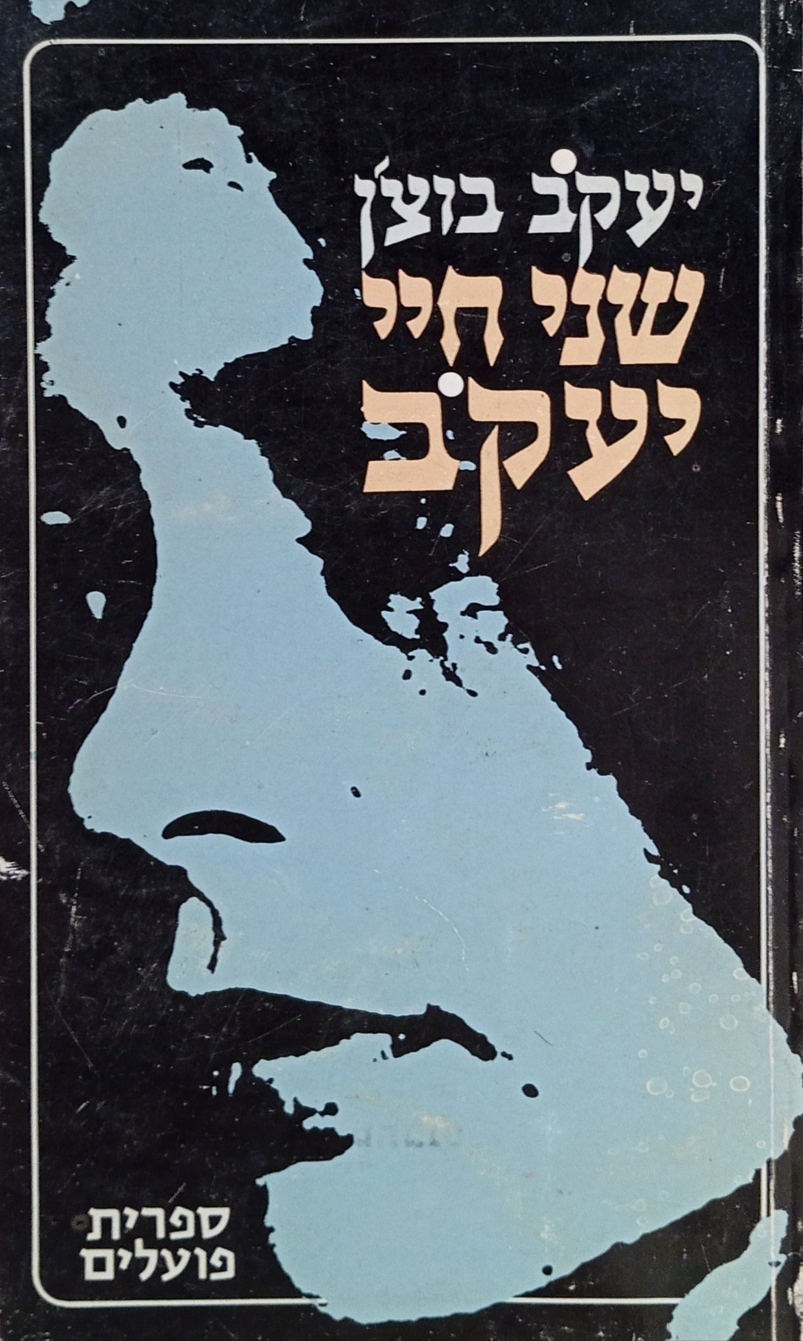 שני חיי יעקב: רומאן