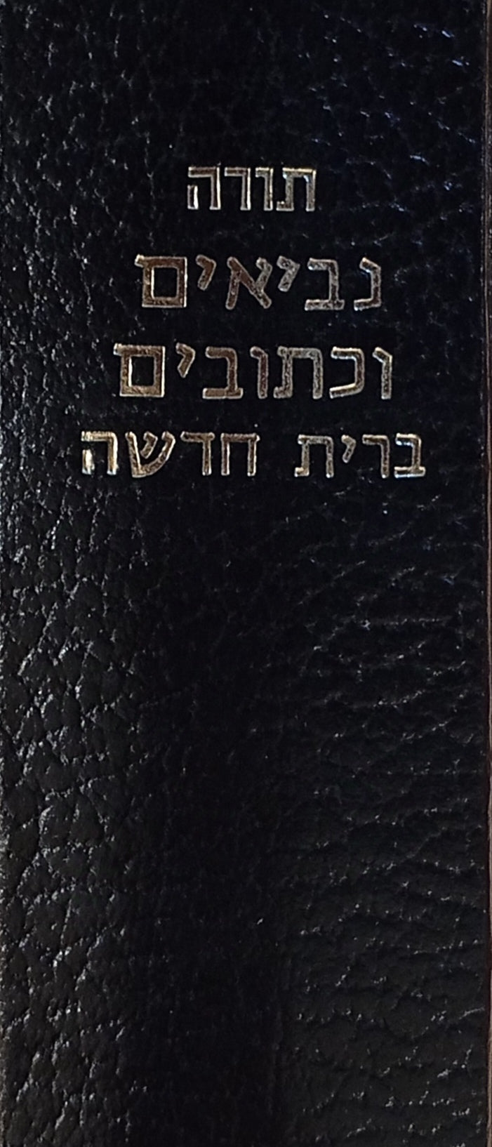 תנ"ך וברית חדשה / תרגום פרנץ דליטש