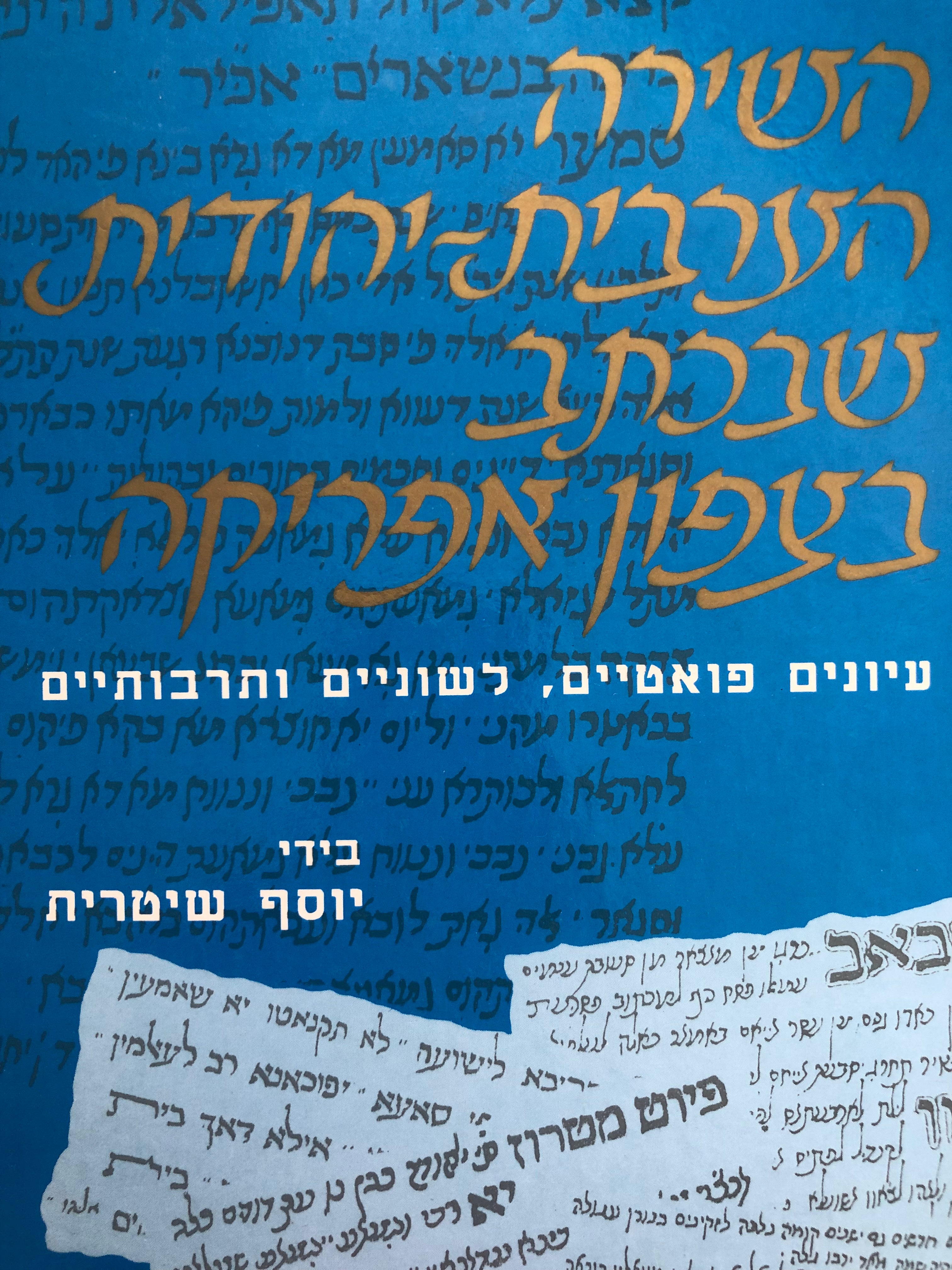 השירה הערבית יהודית שבכתב בצפון אפריקה/ עיונים פואטיים לשוניים ותרבותיים