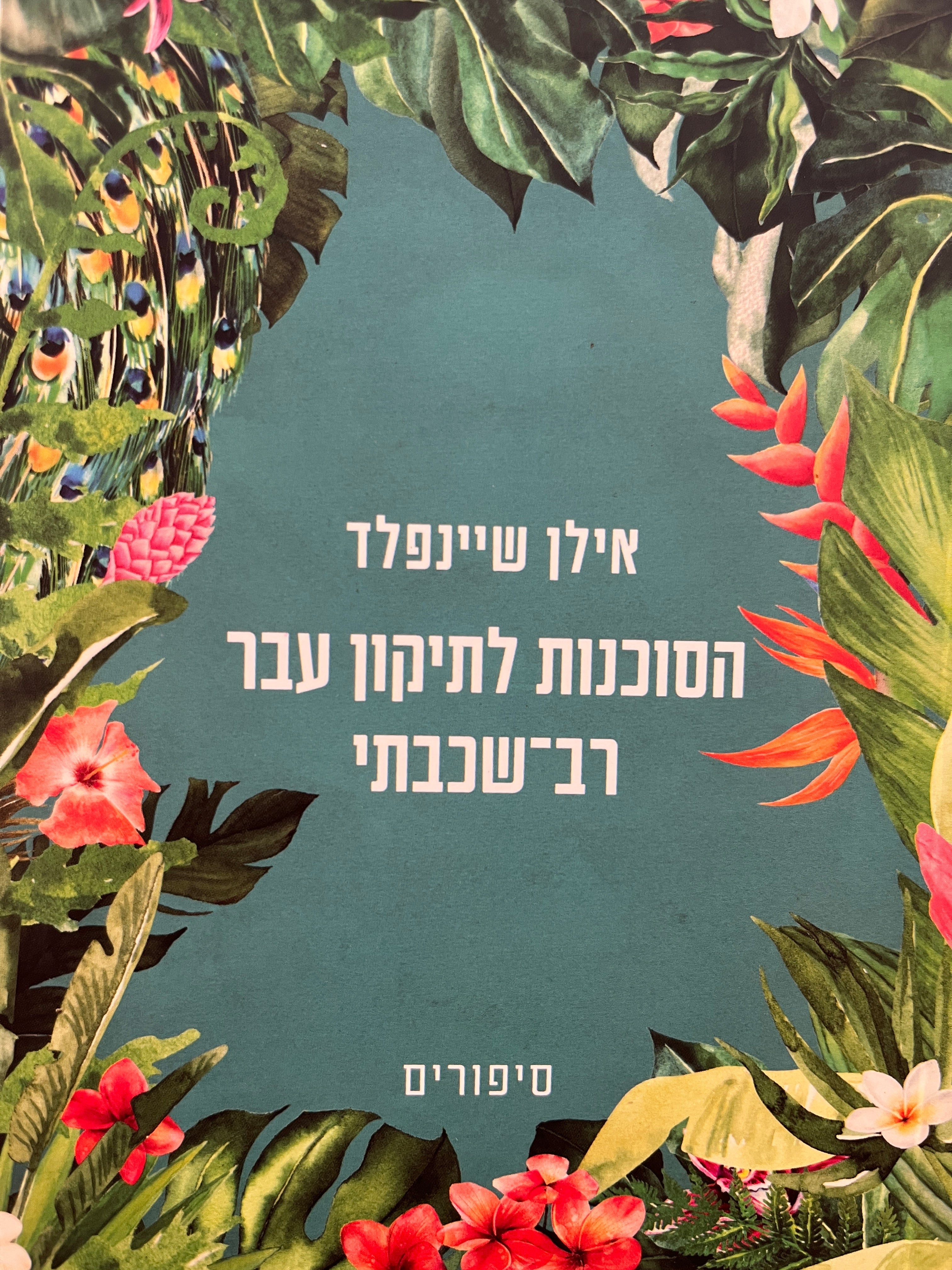 הסוכנות לתיקון עבר רב-שכבתי