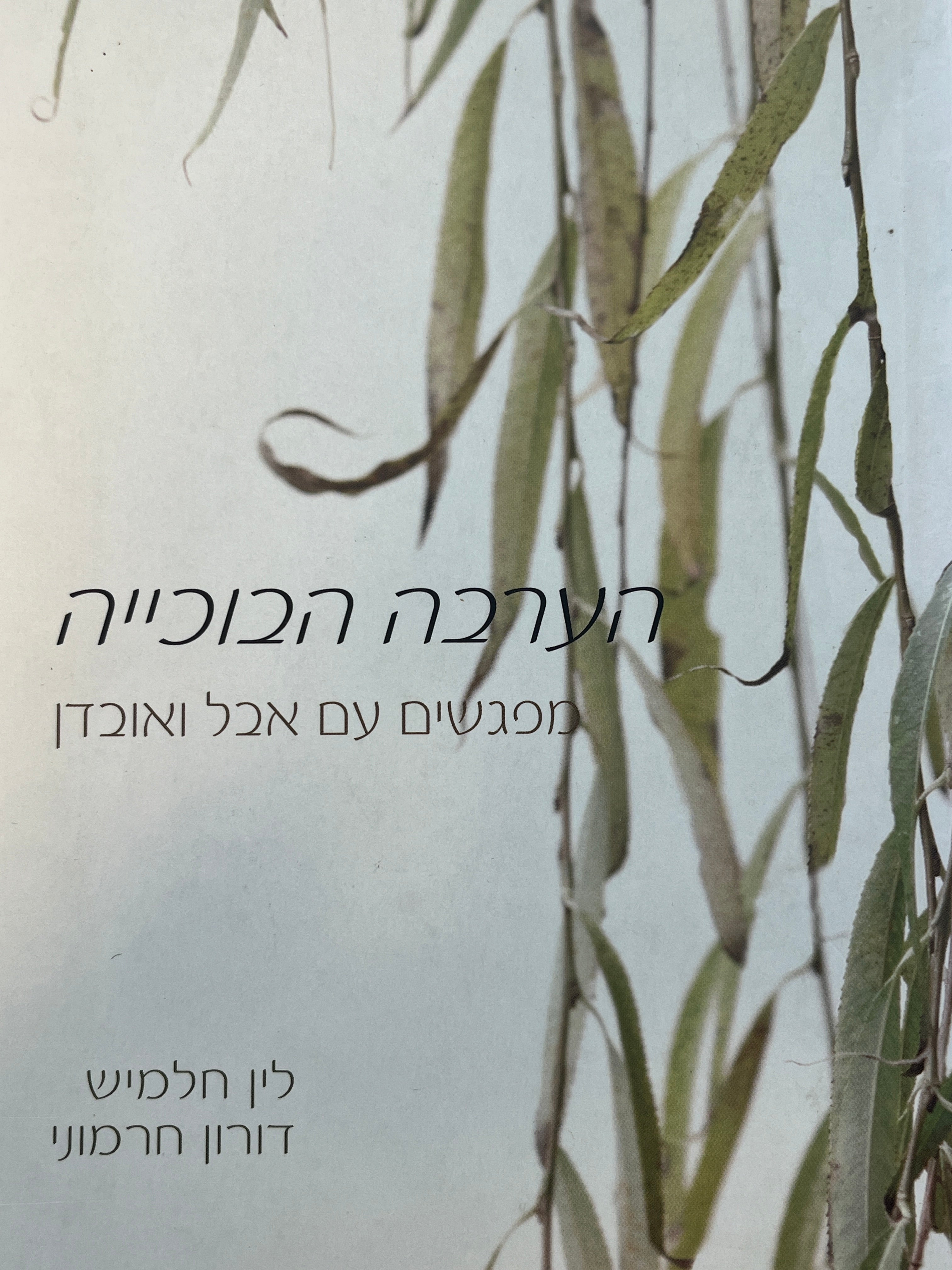 הערבה הבוכייה / מפגשים עם אבל ואובדן