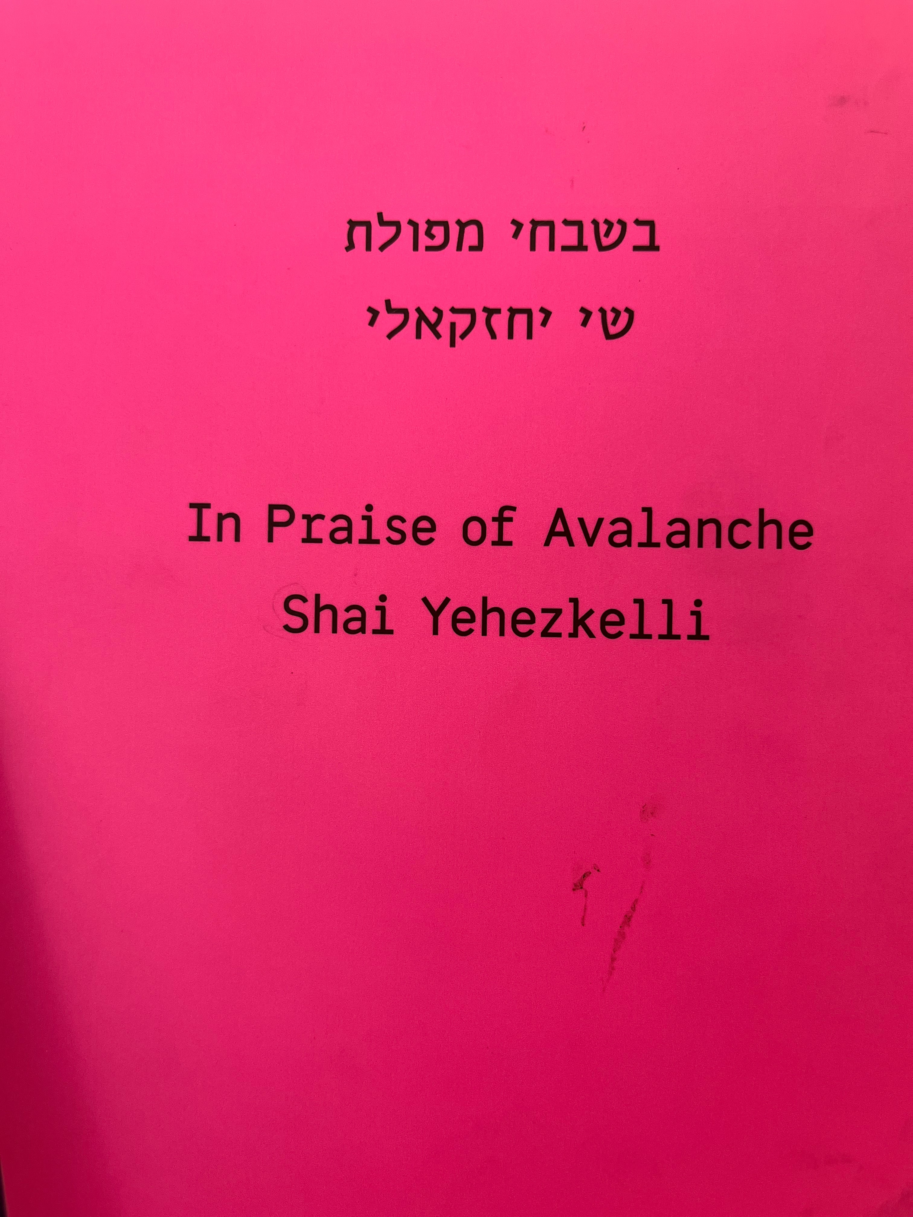 בשבחי המפולת / שי יחזקאלי