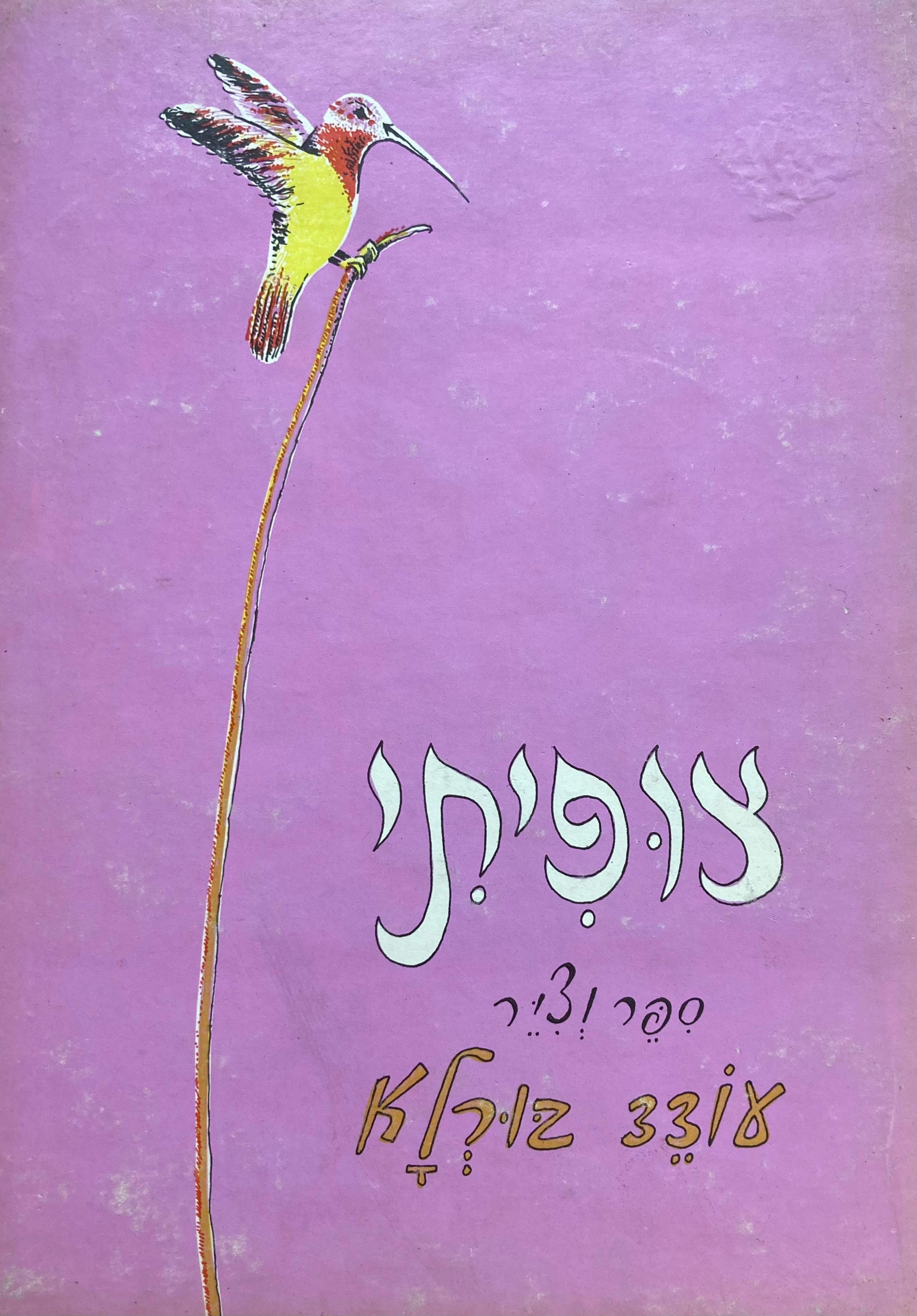 צופיתי