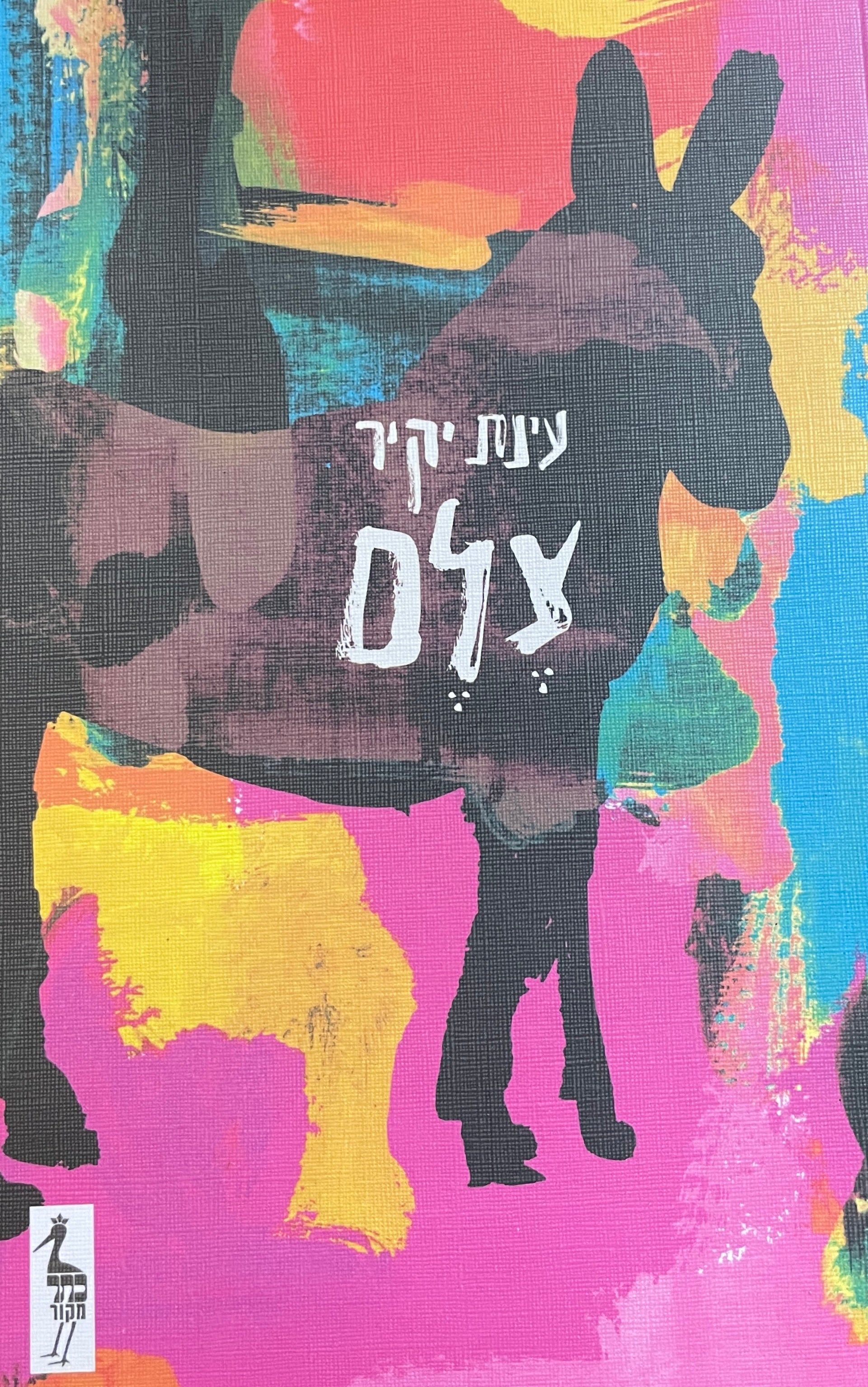 צלם