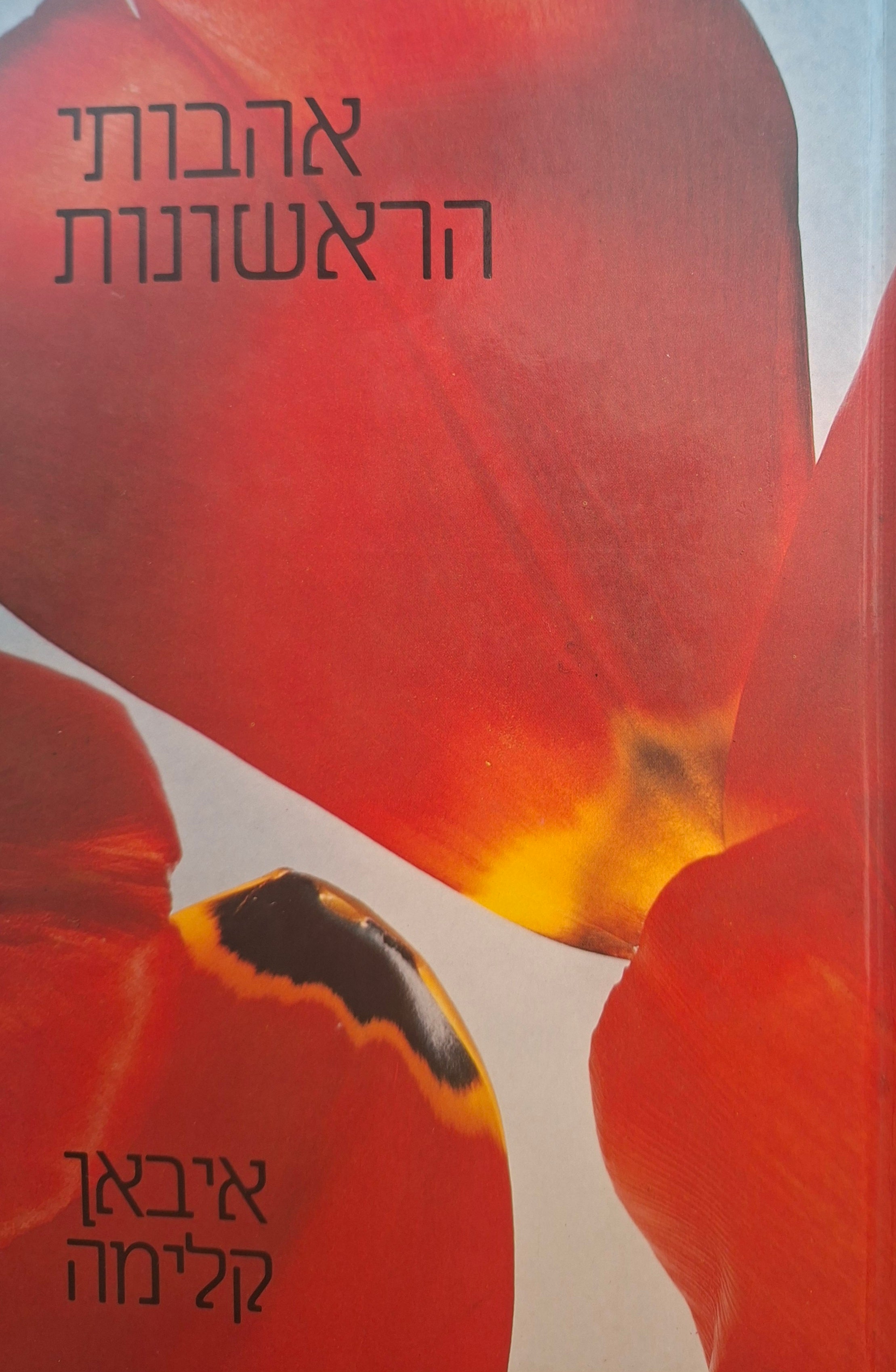 אהבותי הראשונות