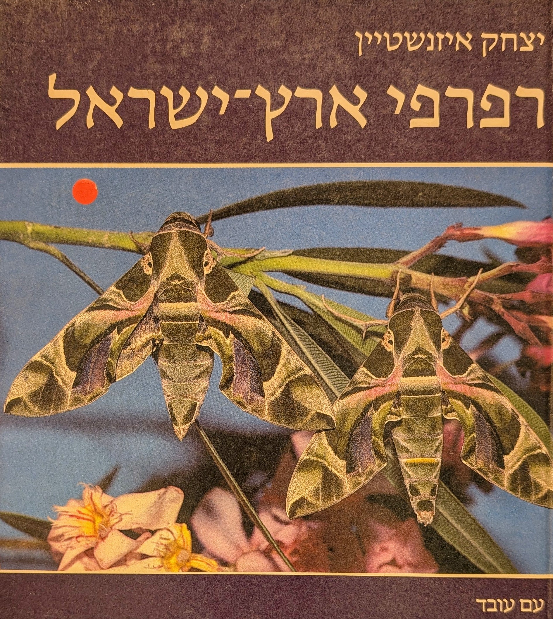 רפרפי ארץ-ישראל