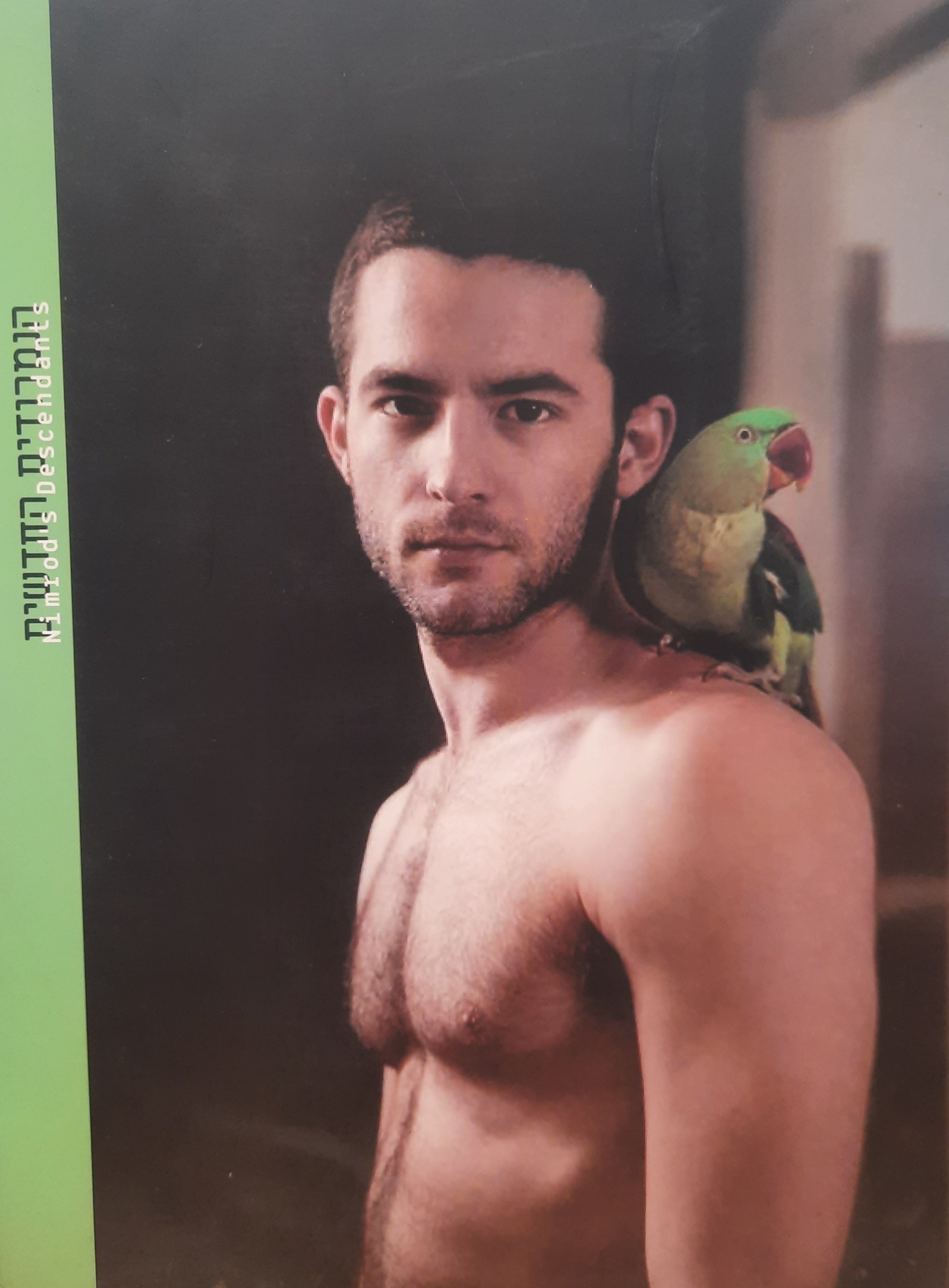 הנמרודים החדשים
