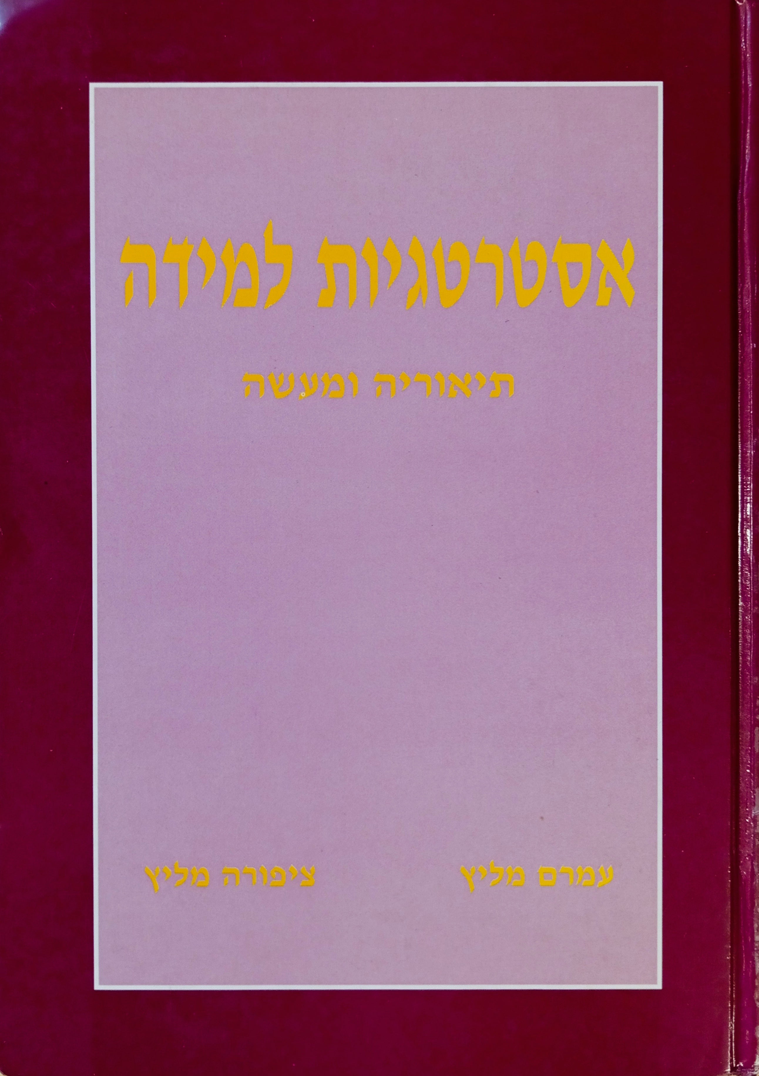 אסטרטגיות למידה: תיאוריה ומעשה