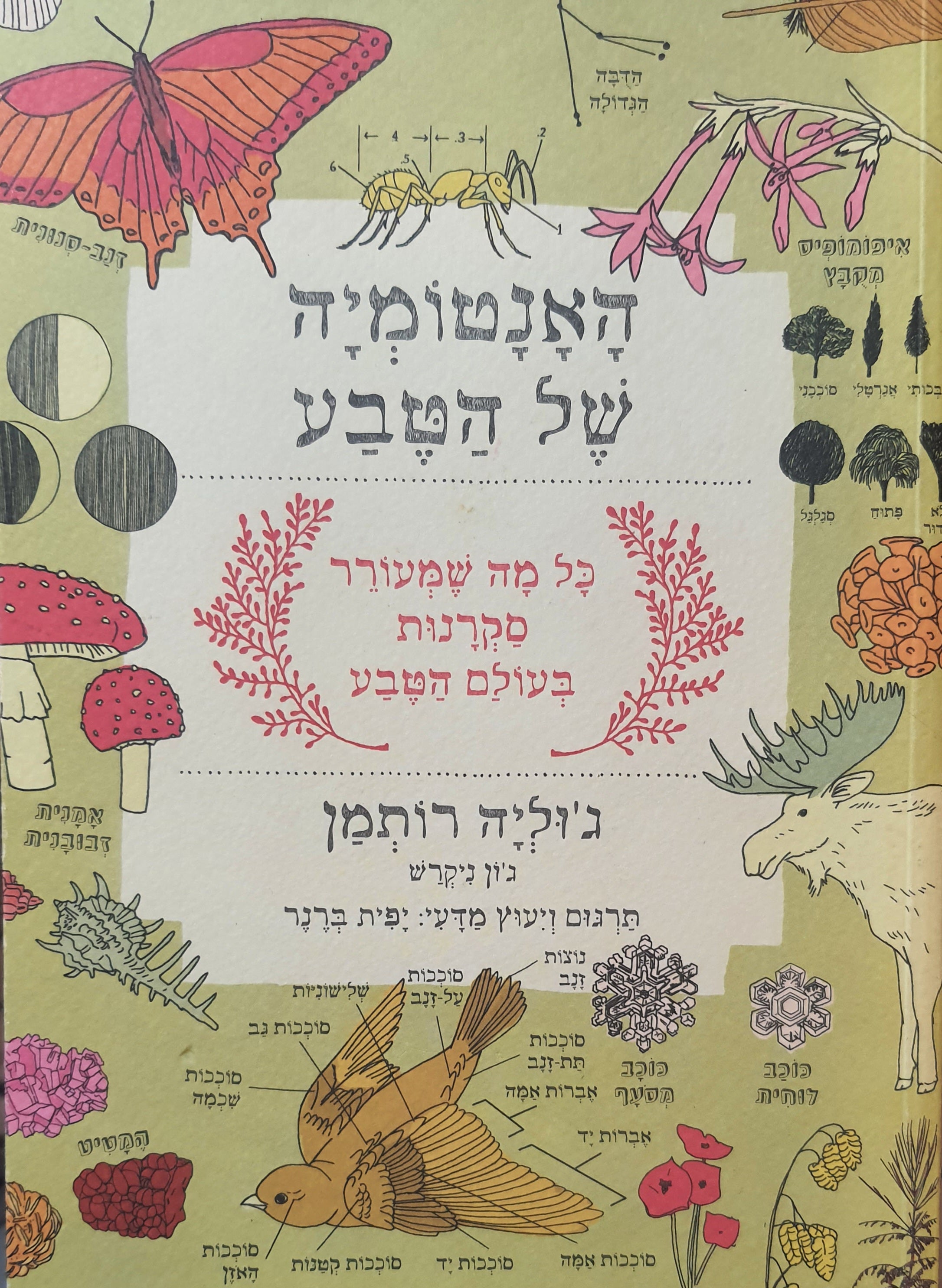 האנטומיה של הטבע