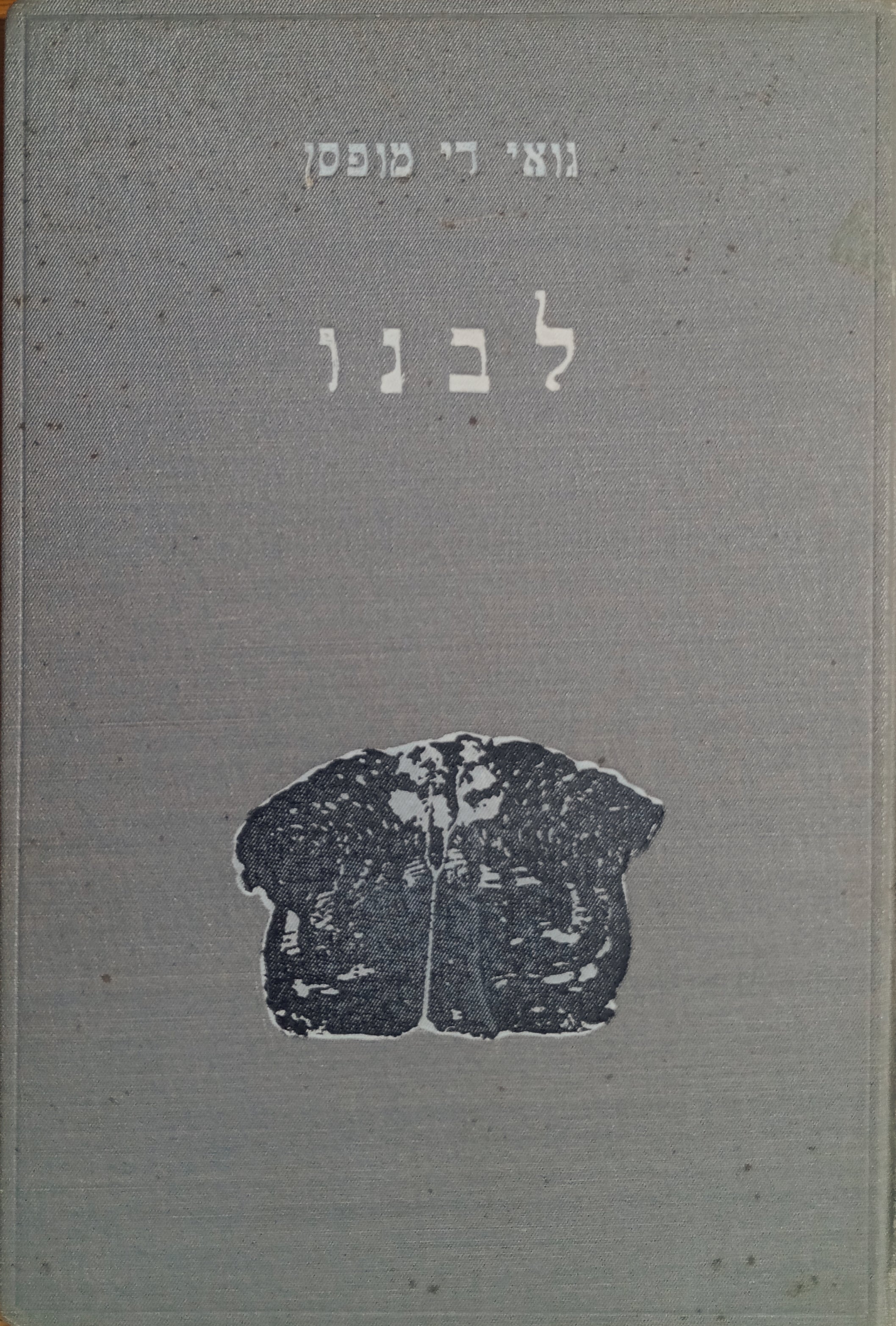 לבנו: רומן / תרגום משה בן-אליעזר