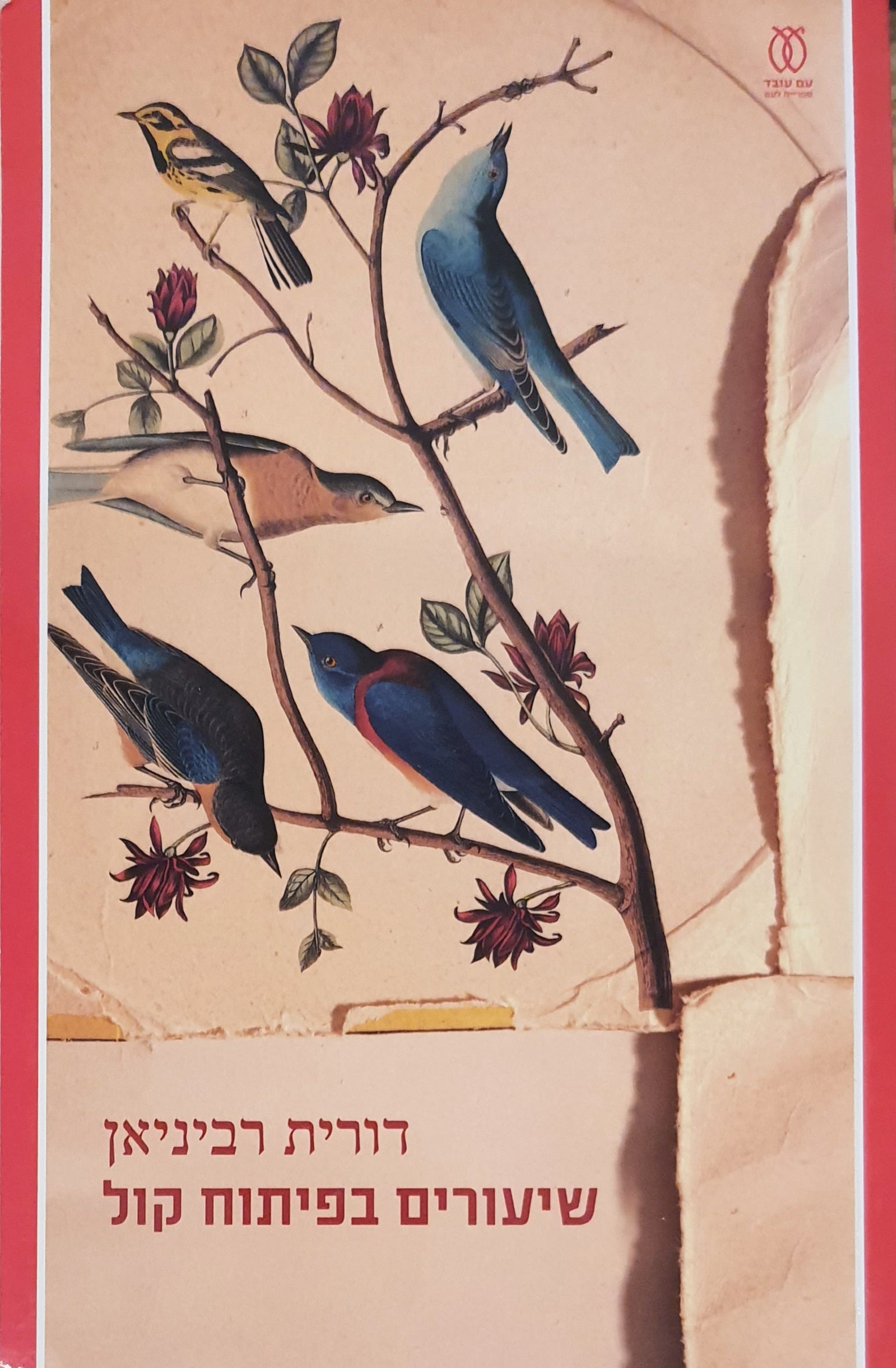שיעורים בפיתוח קול