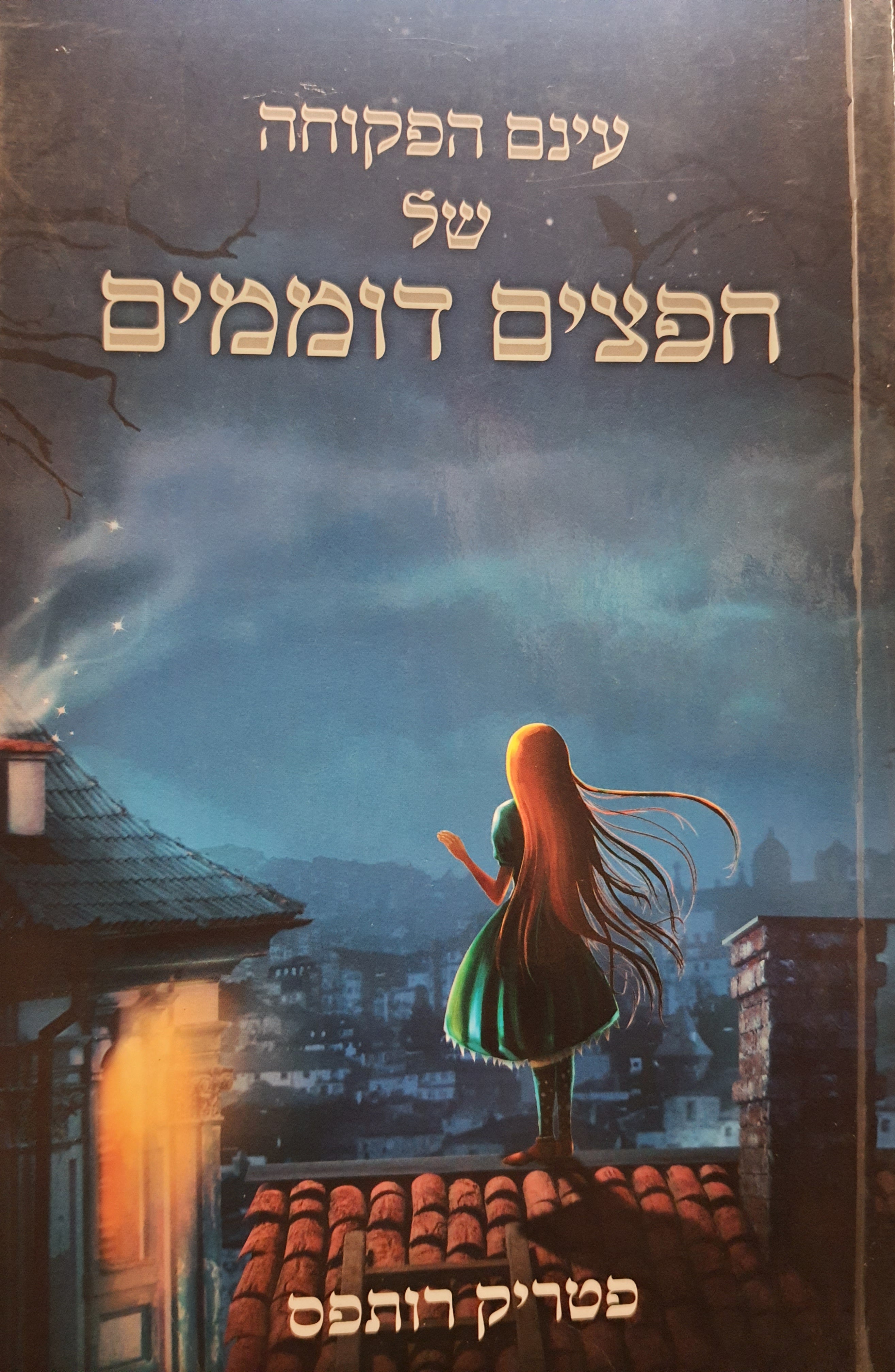 עינם הפקוחה של חפצים דוממים