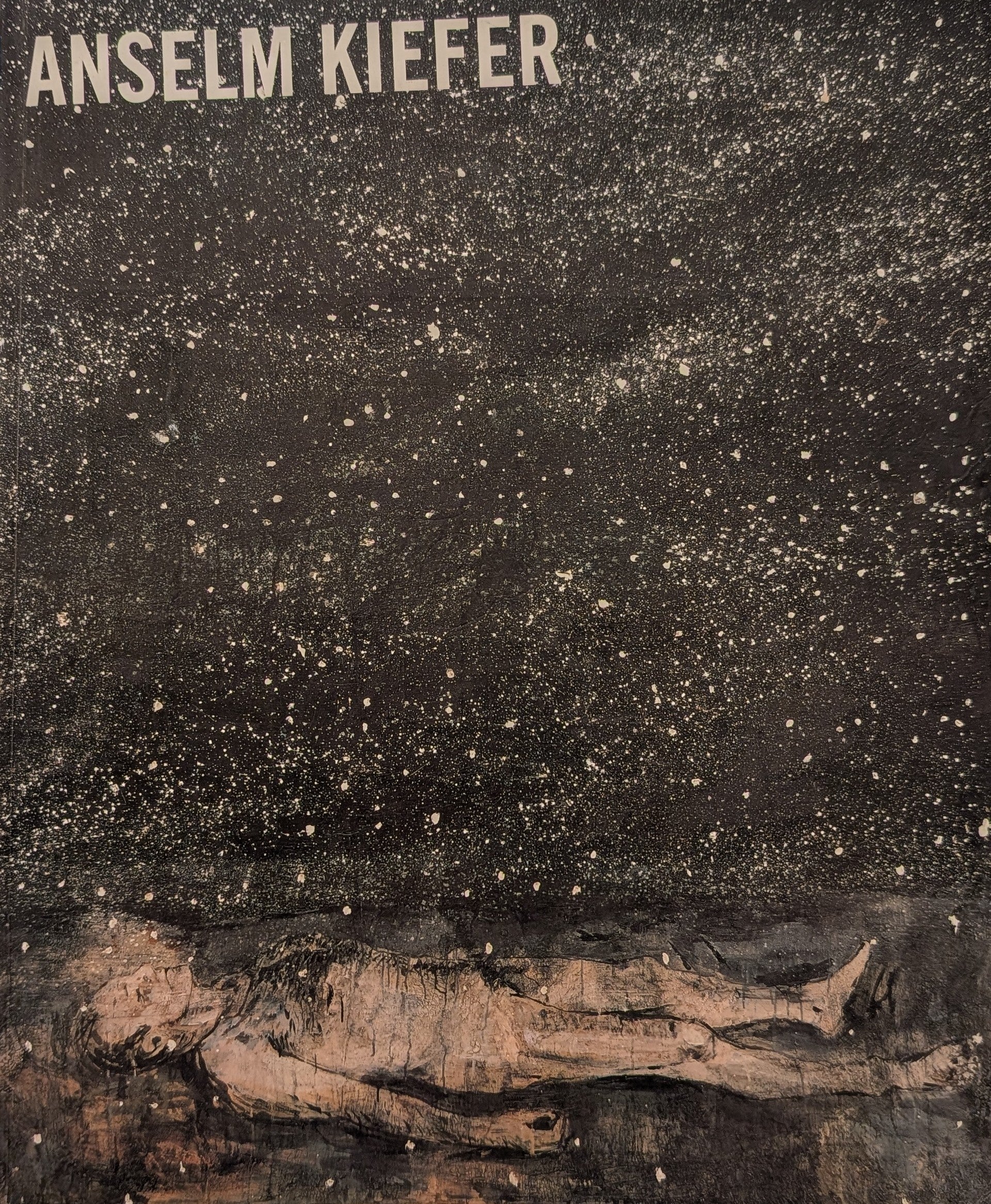 Anselm Kiefer (Venezia Contemporaneo)
