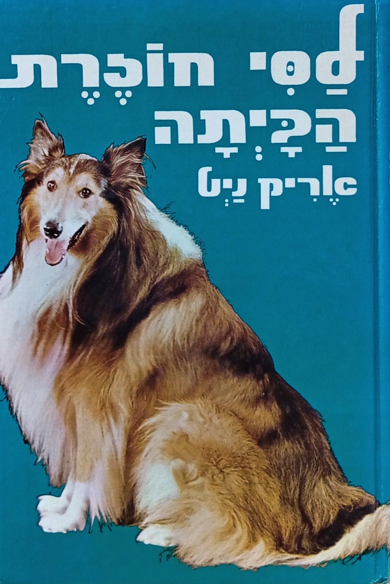 לסי חוזרת הביתה / תרגום אלה אמיתן