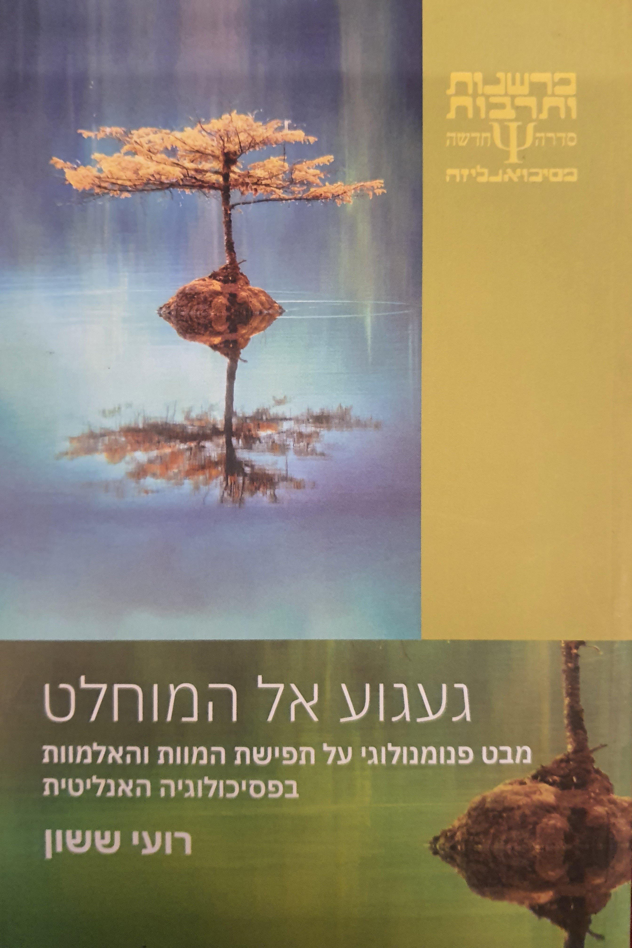 געגוע אל המוחלט / מבט פנומנולוגי על תפישת המוות והאלמוות בפסיכולוגיה האנליטית
