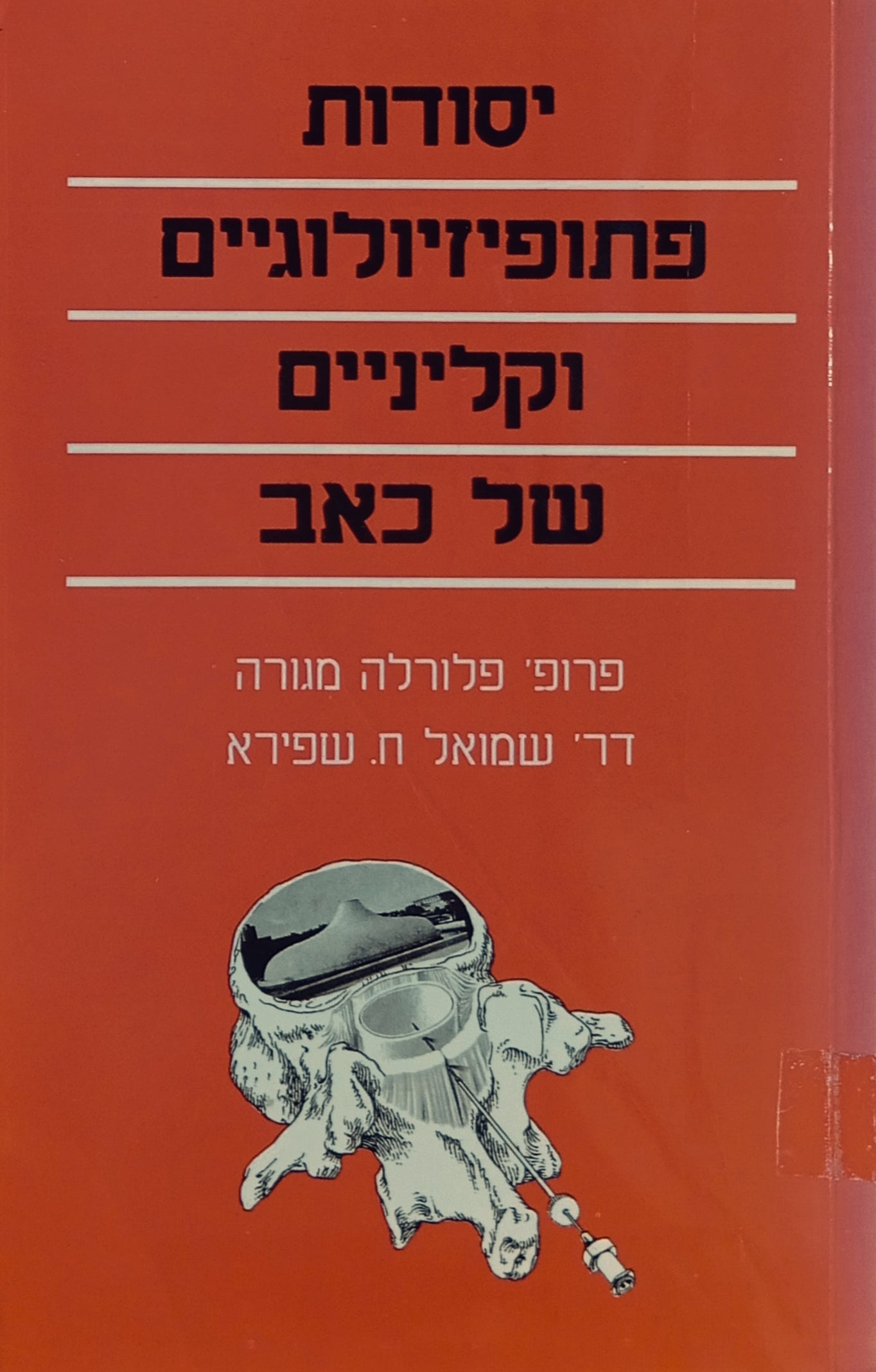 יסודות פתופיזיולוגיים וקליניים של כאב