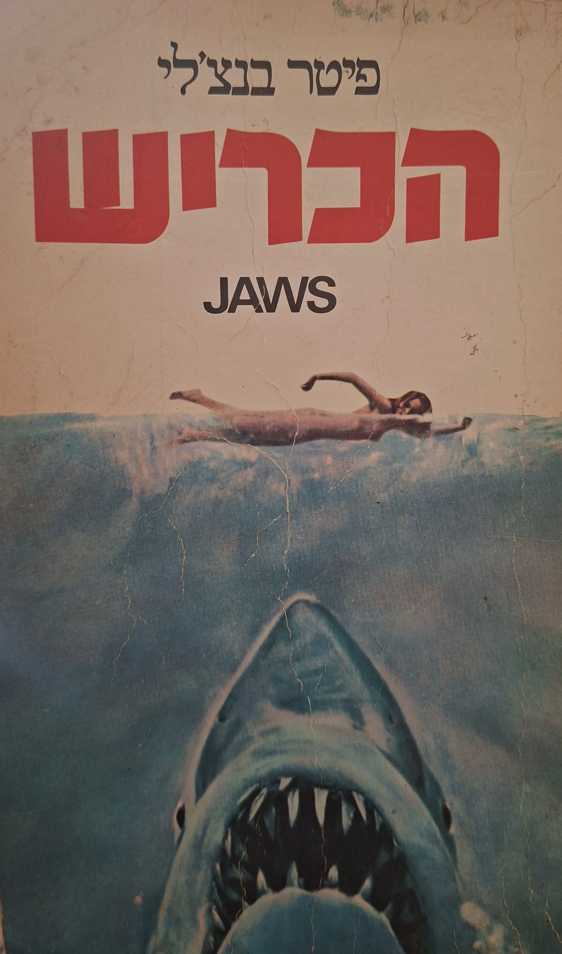 הכריש