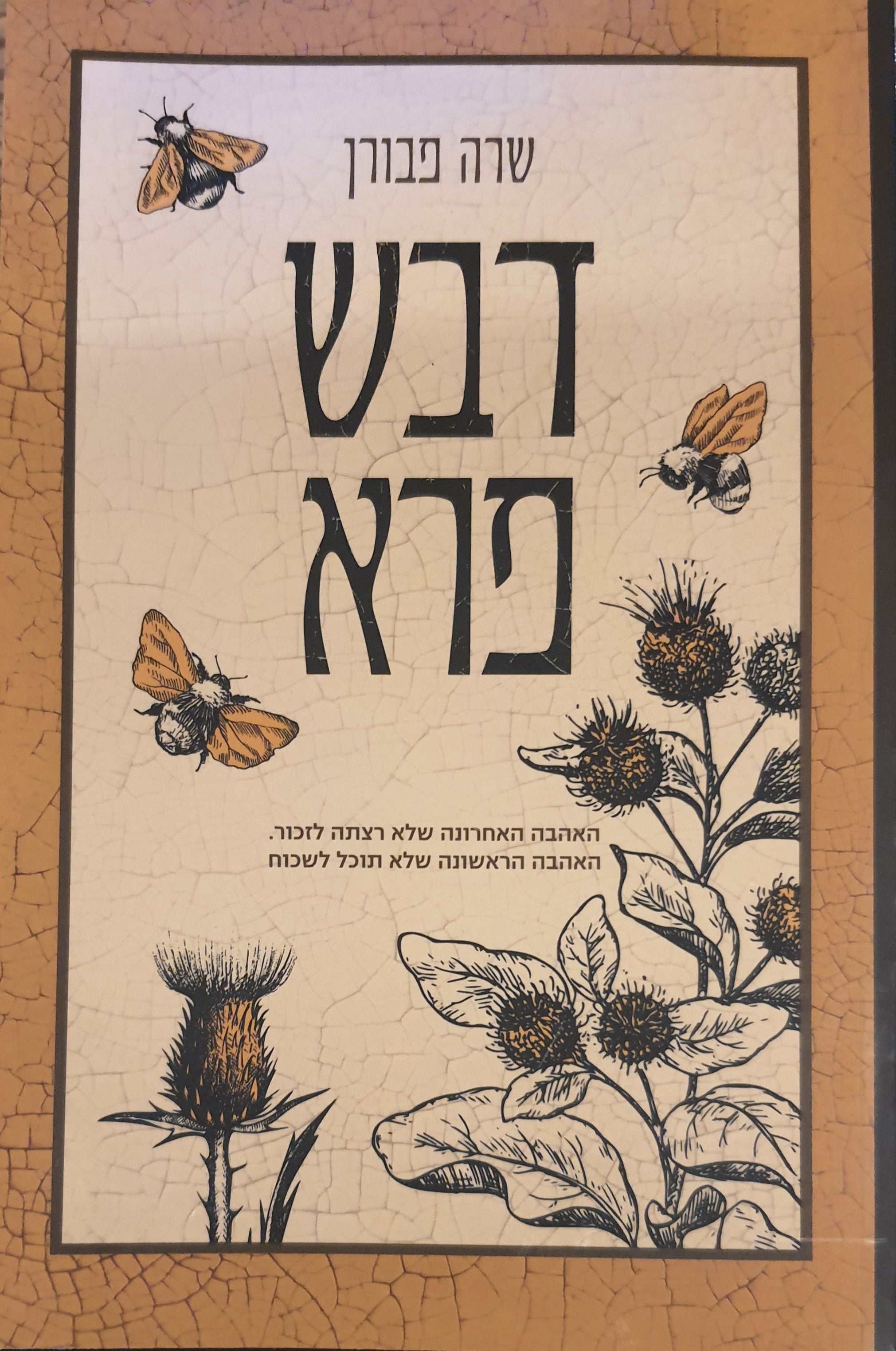 דבש פרא