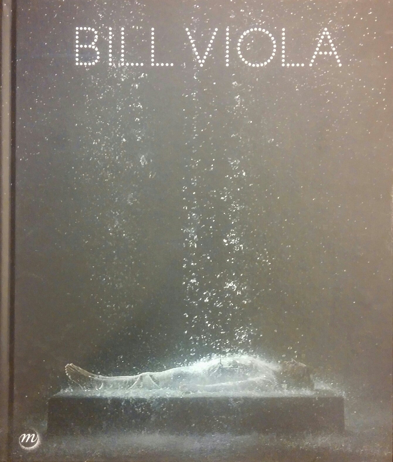 Bill Viola \ L'e-album de l'exposition