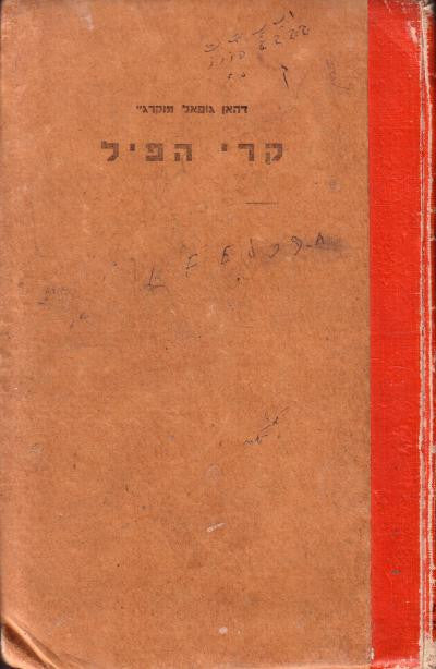 קרי הפיל