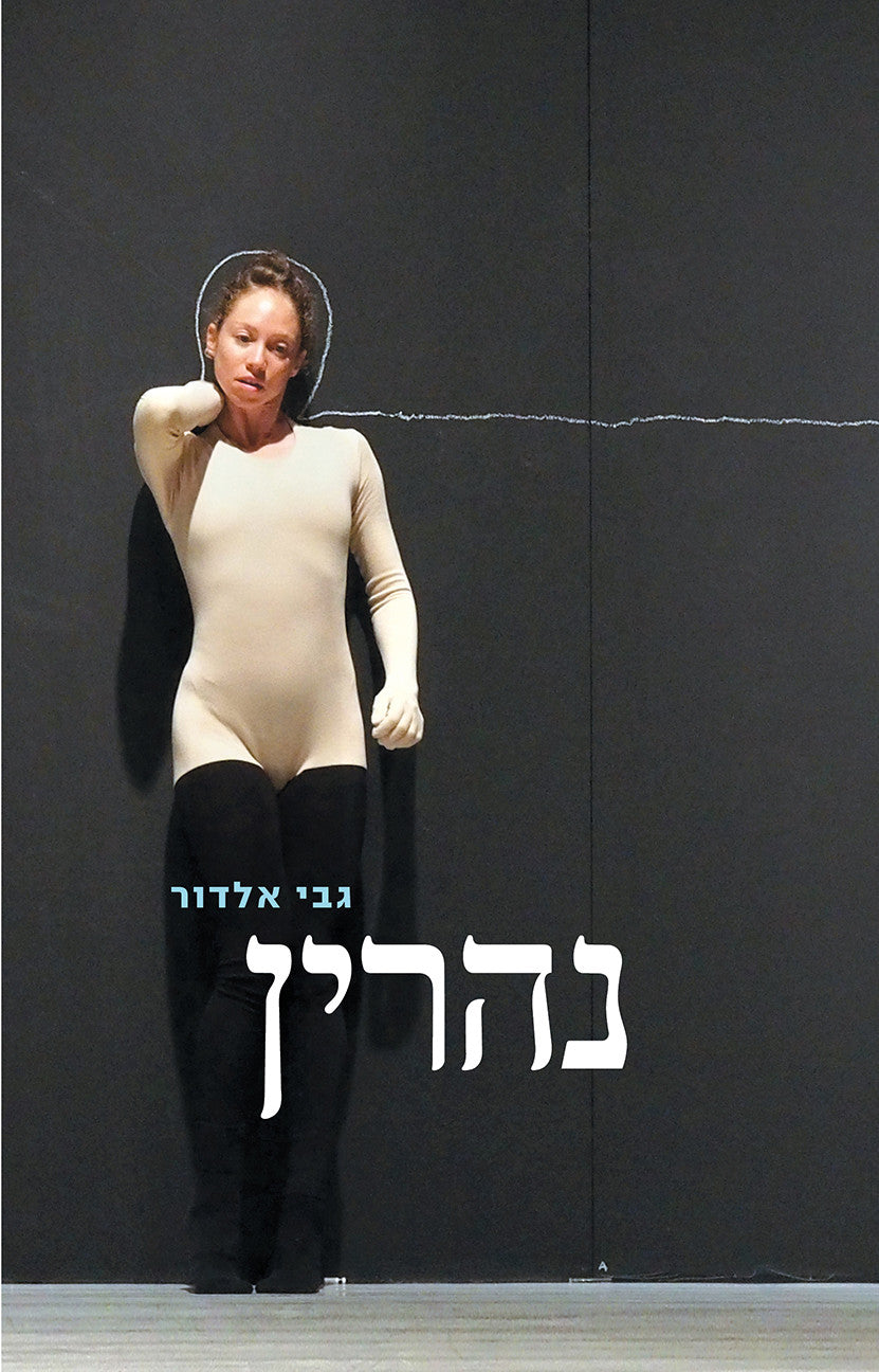נהרין: רשימות ושיחות על יצירתו
