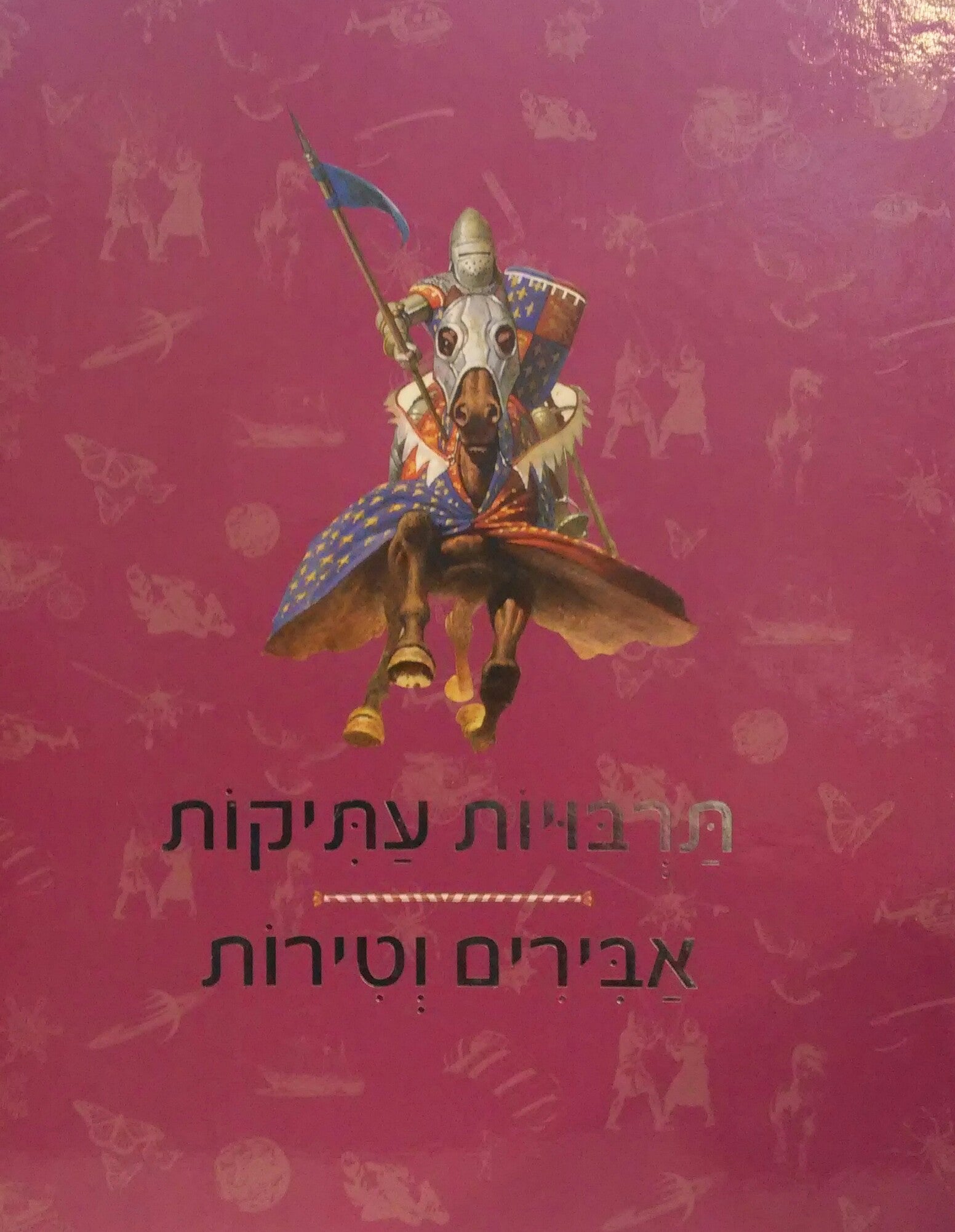 תרבויות עתיקות / אבירים וטירות
