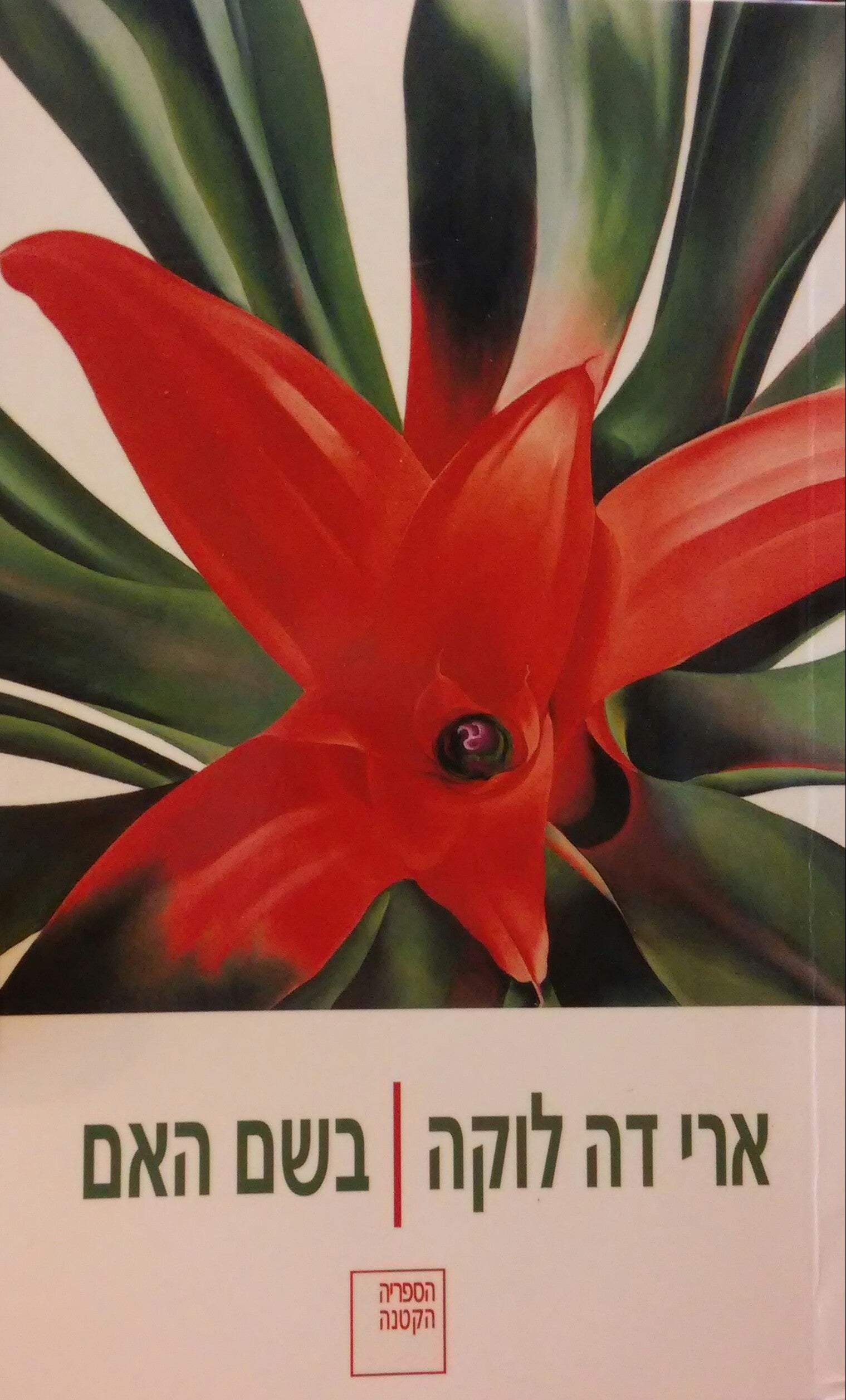 בשם האם