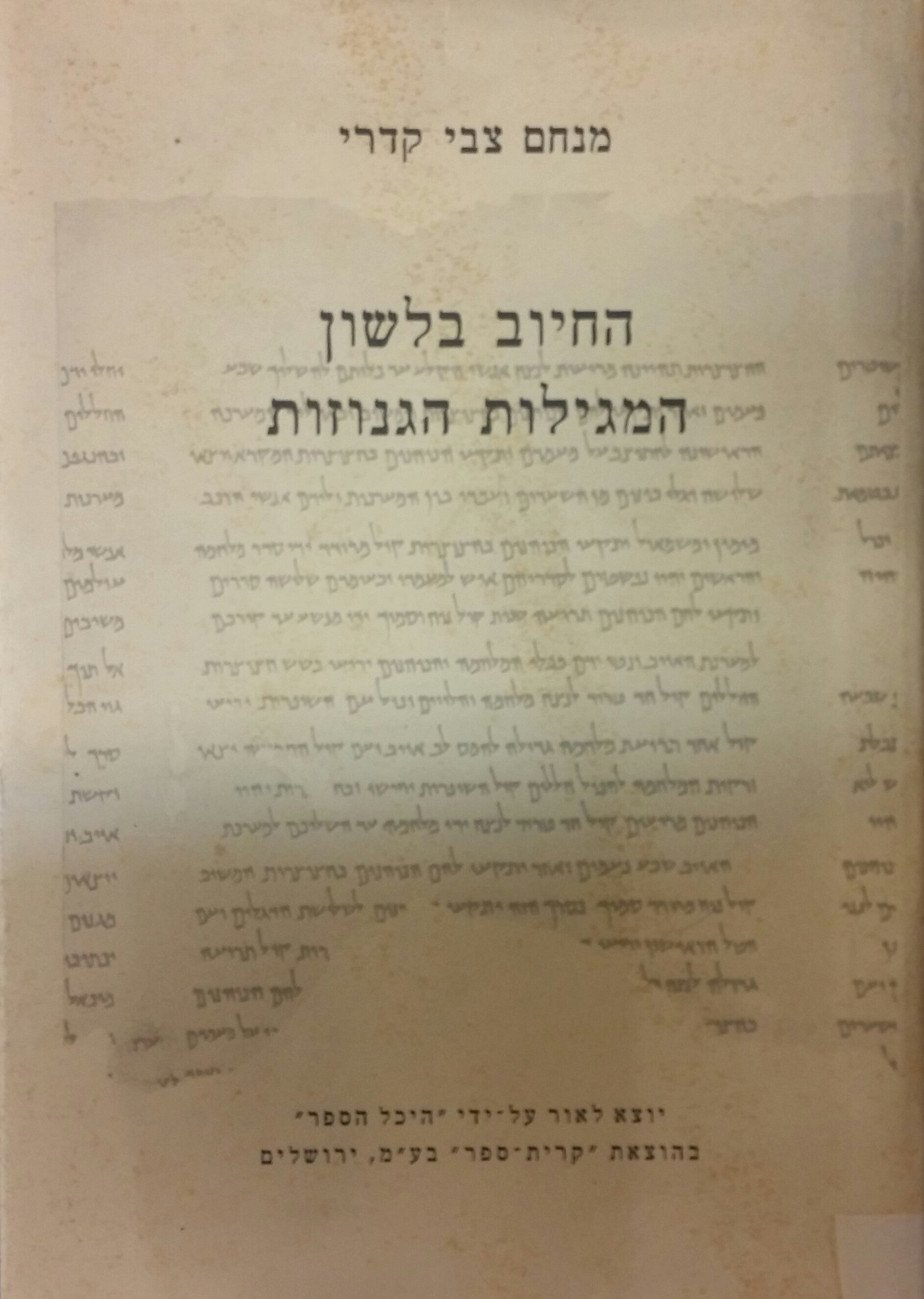 החיוב בלשון המגילות הגנוזות / מחקר בשדות לשוניים