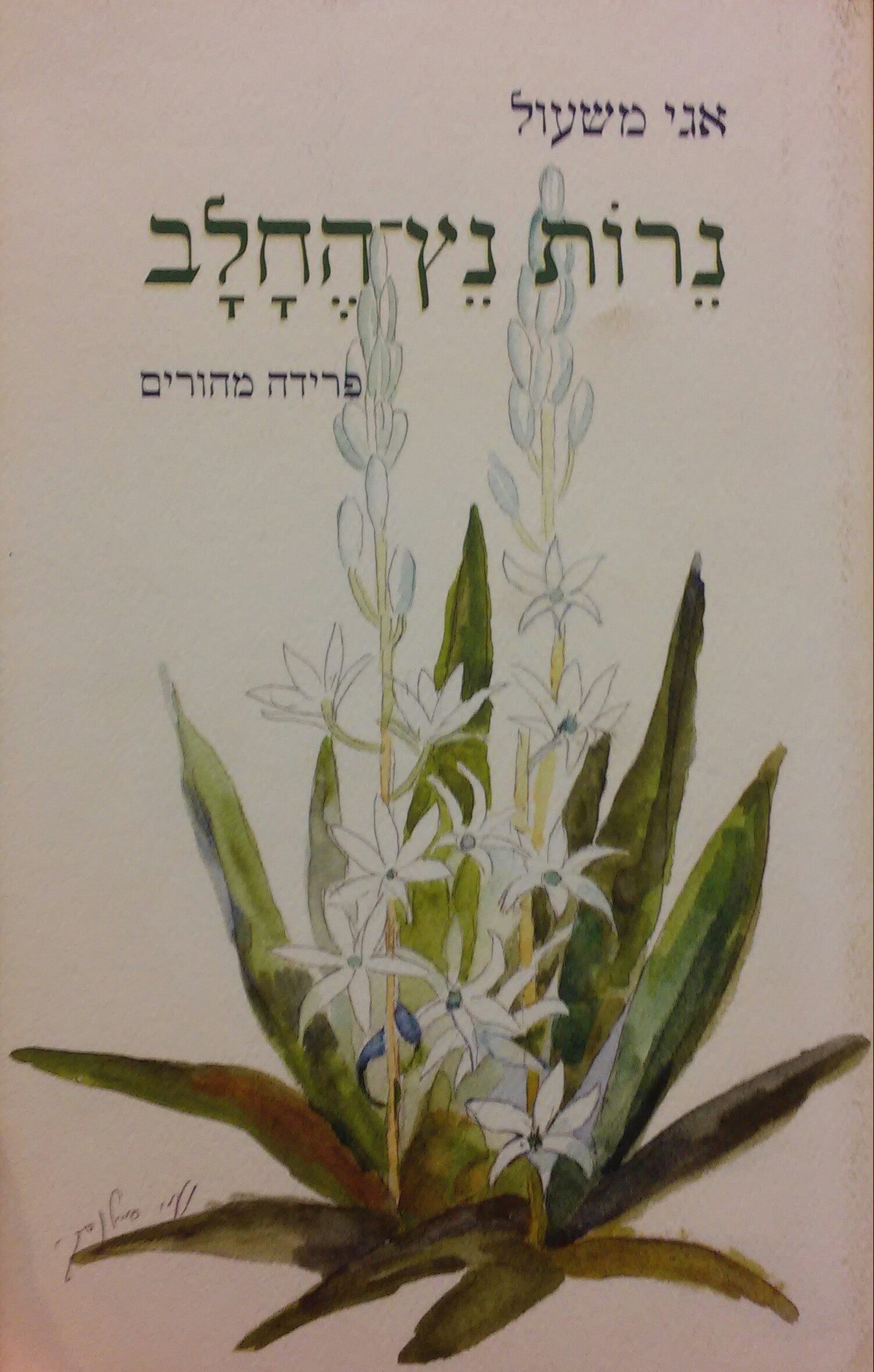 נרות נץ החלב / פרידה מהורים
