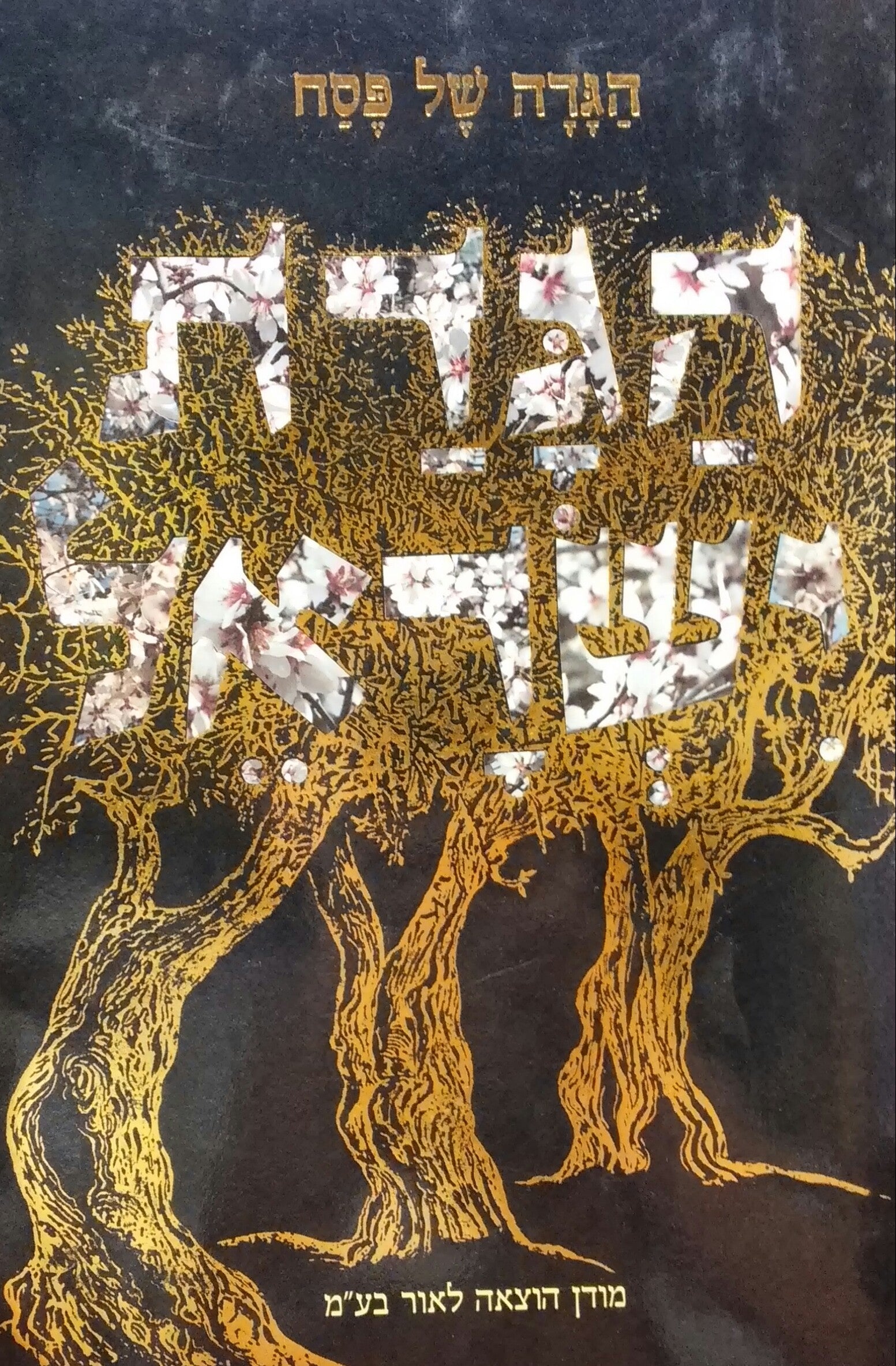 הגדה של פסח / הגדת ישראל עיצוב וצילום: חיים רון