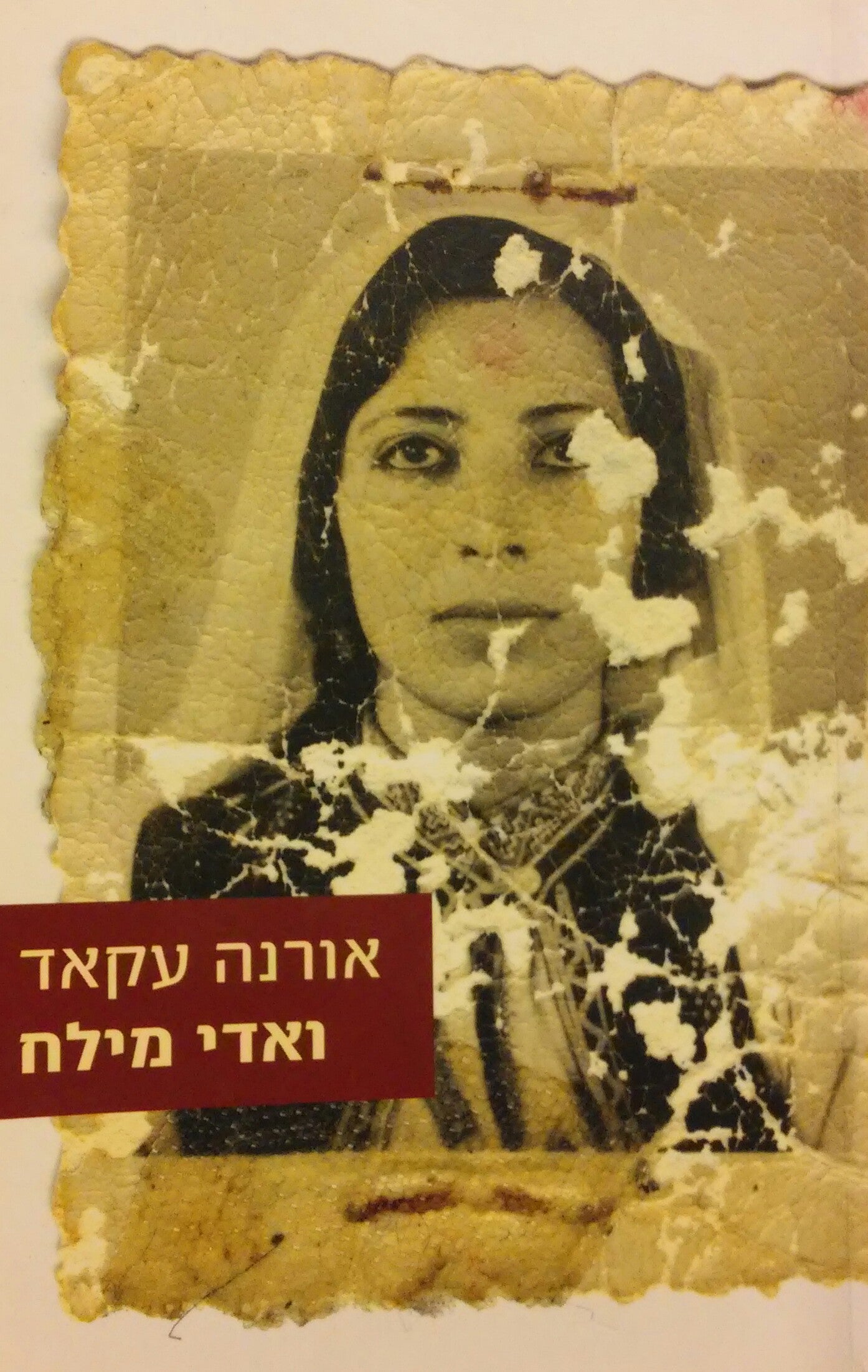 ואדי מילח