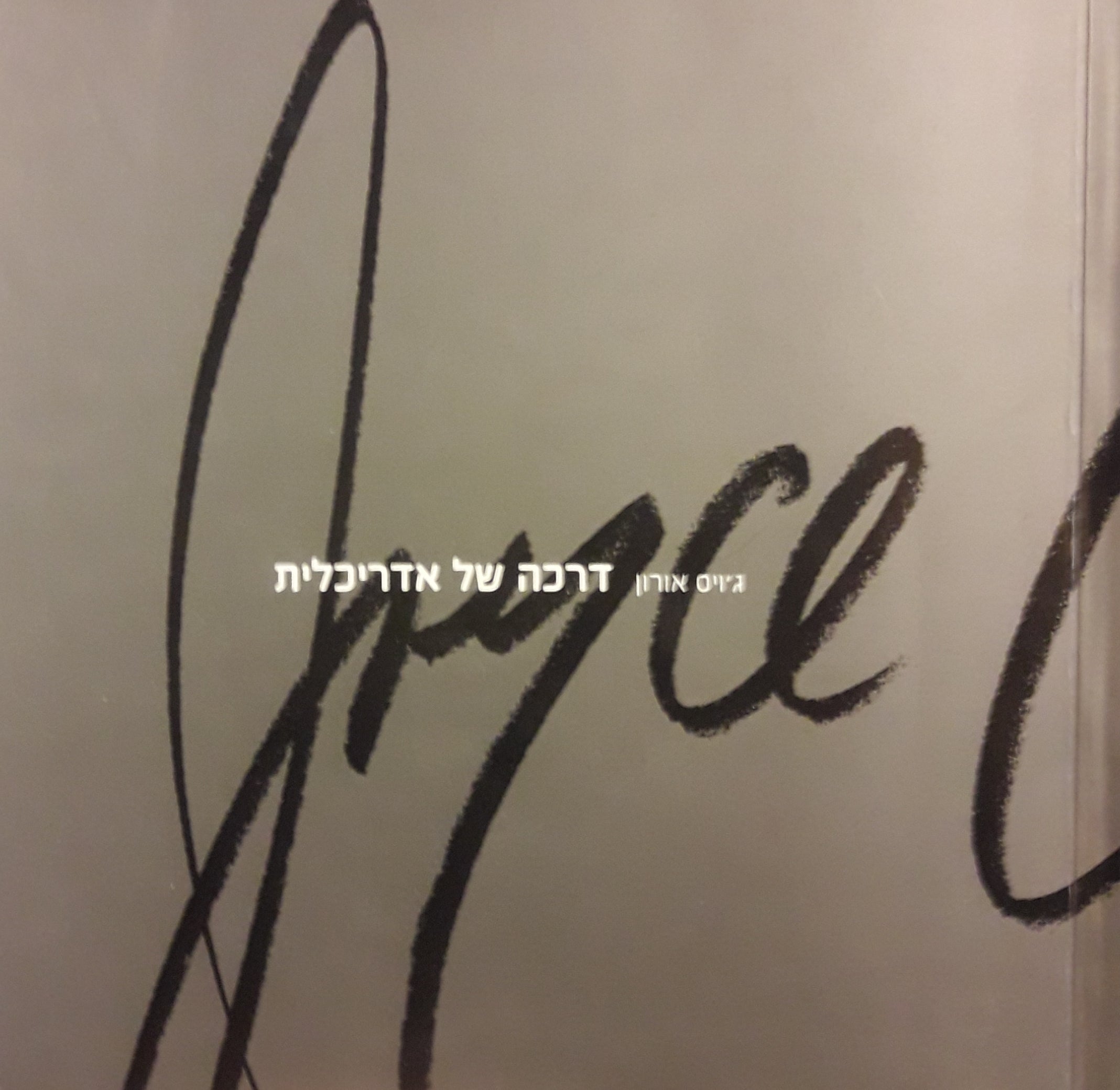 דרכה של אדריכלית