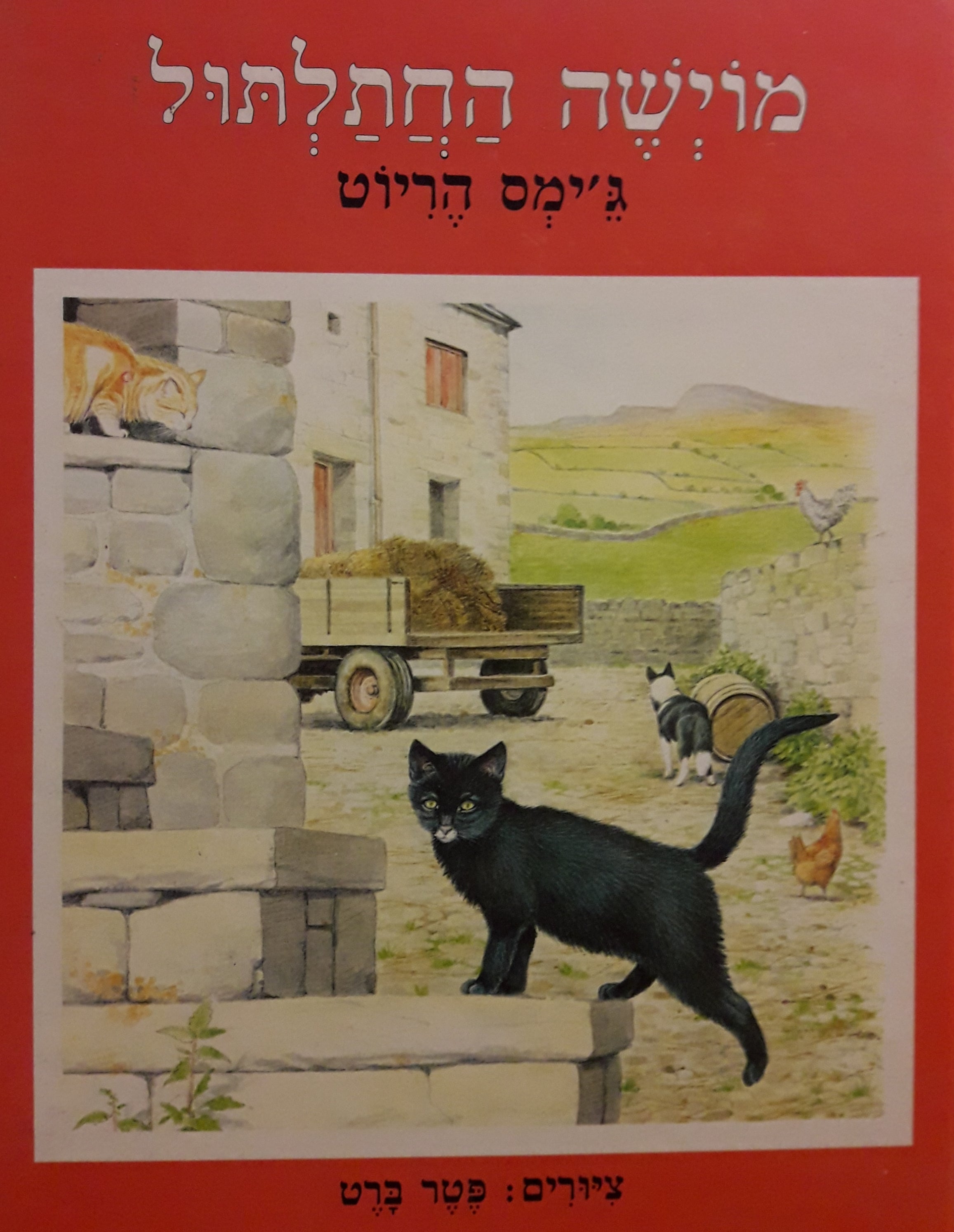 מוישה החתלתול