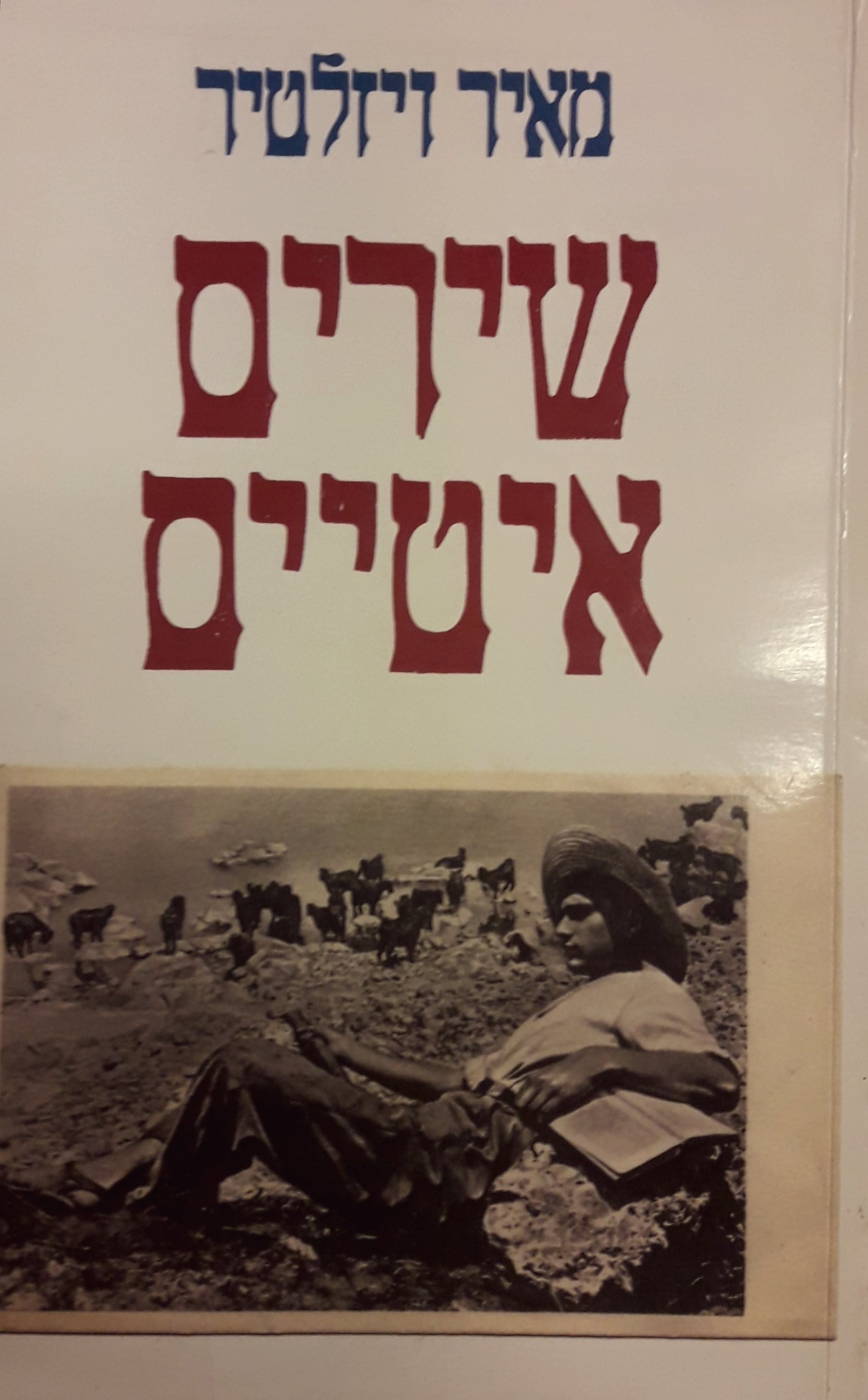 שירים איטיים / ארבעה פרקי שירה 1995-1999