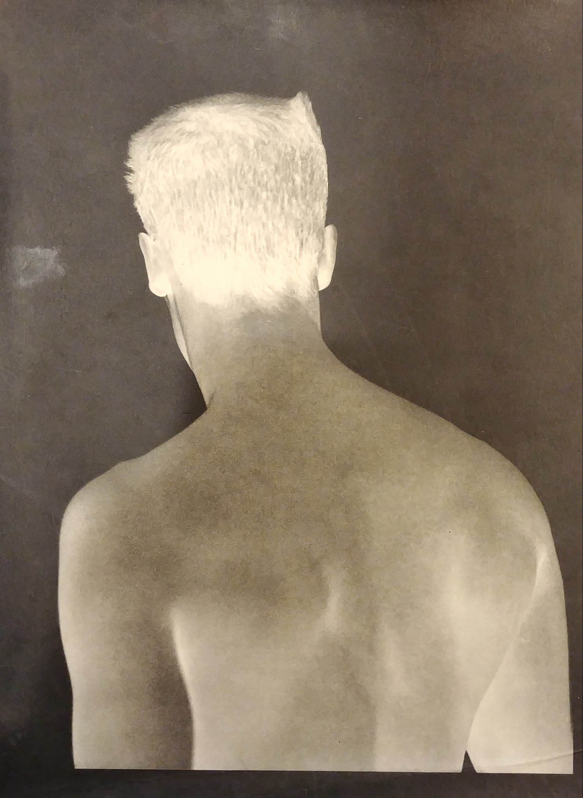 BRUCE WEBER