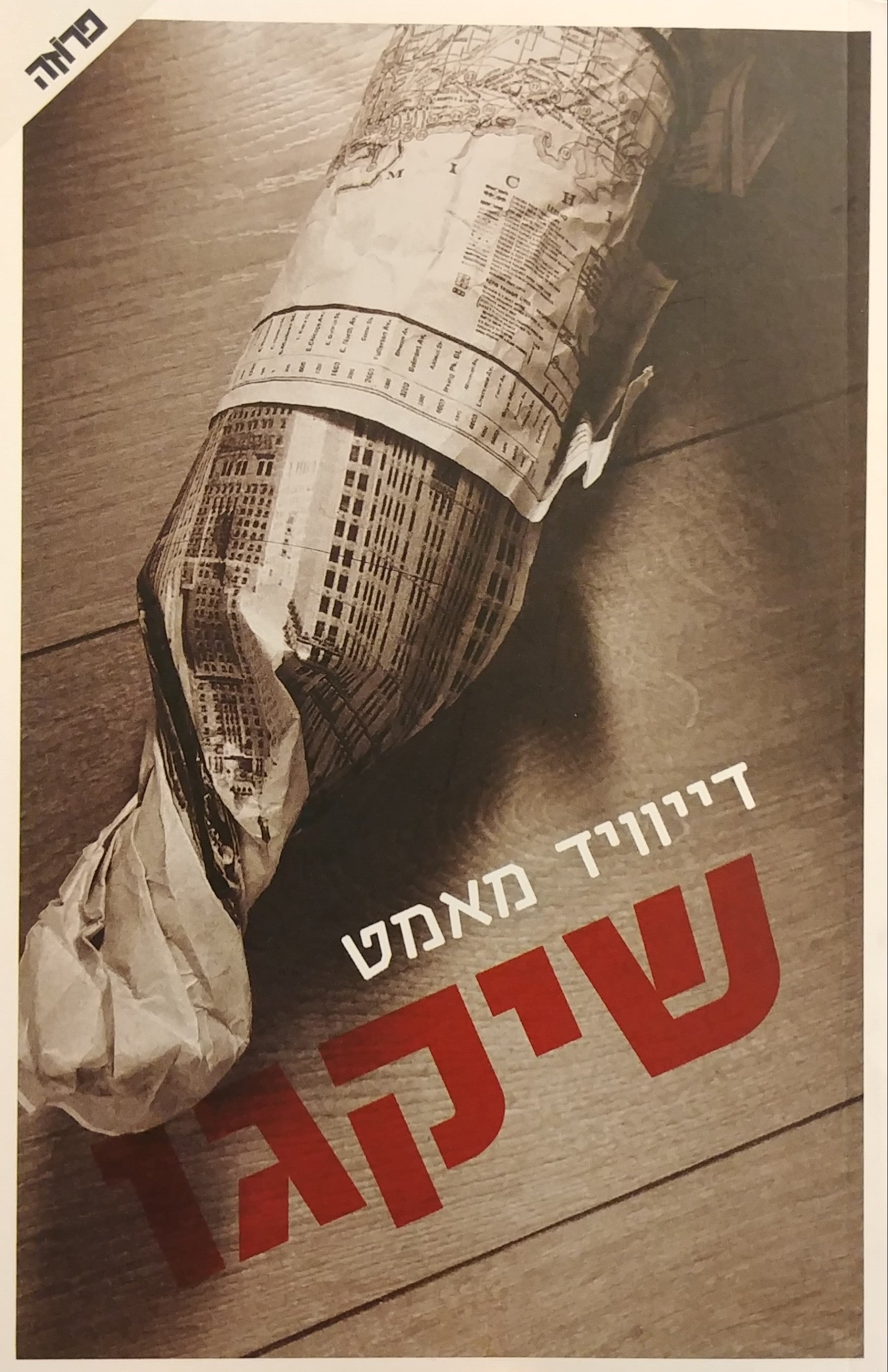 שיקגו / רומן מתקופת היובש
