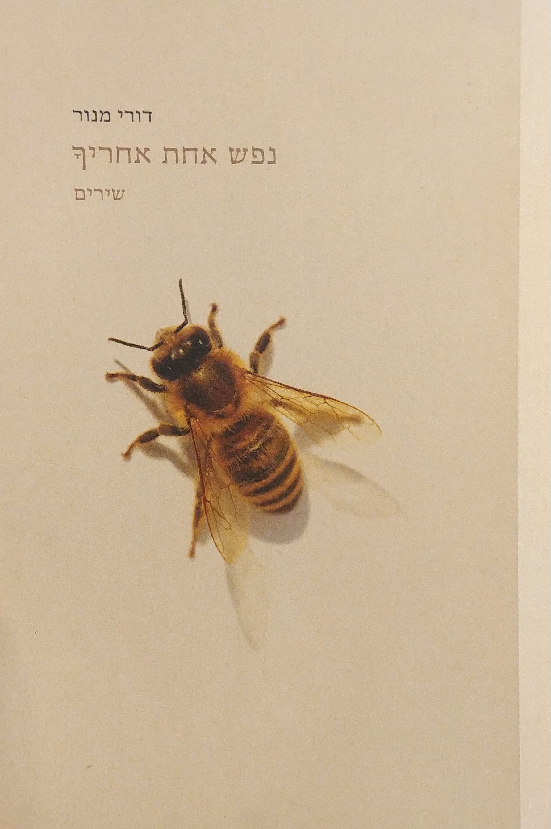 נפש אחת אחריך