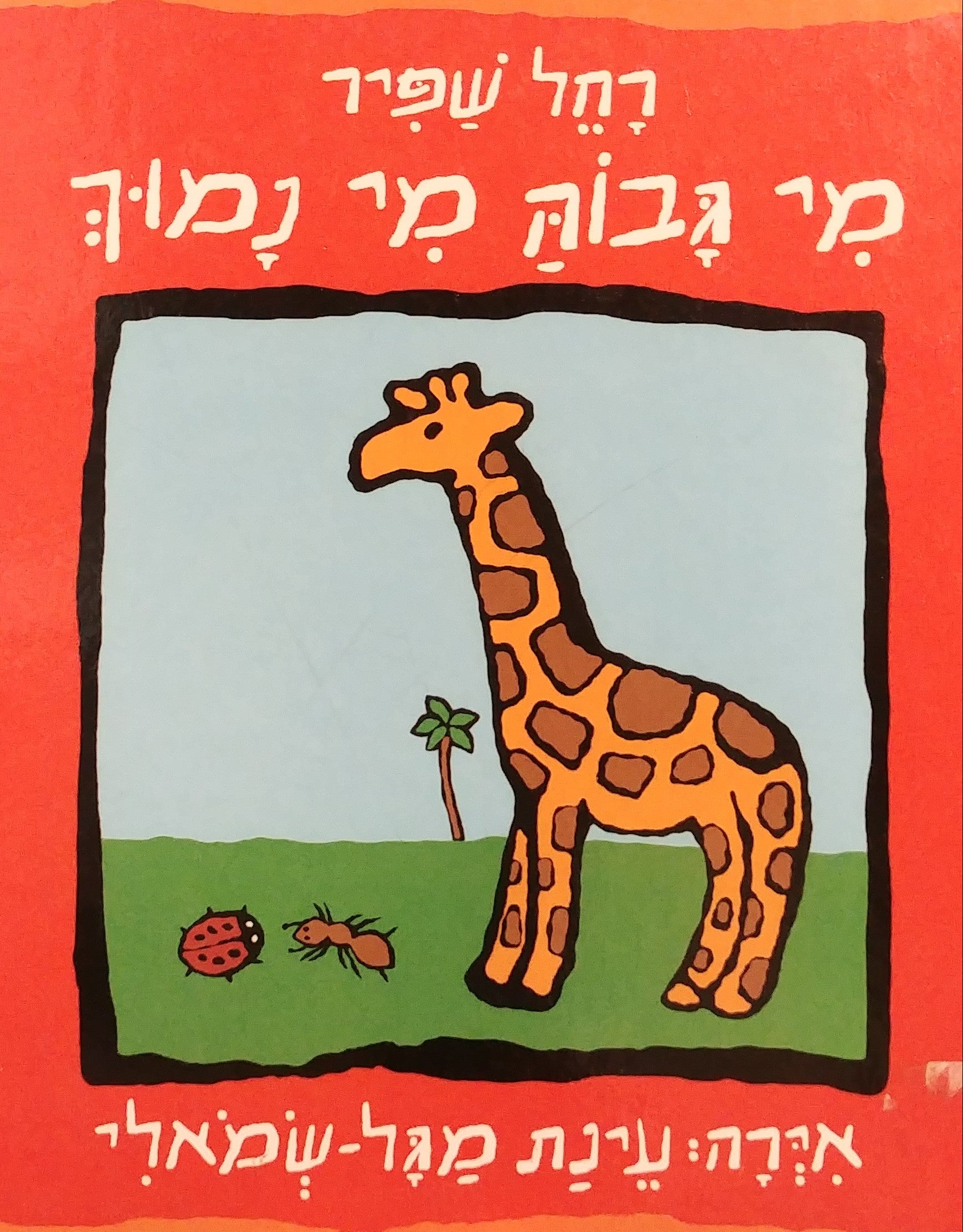 מי גבוה מי נמוך