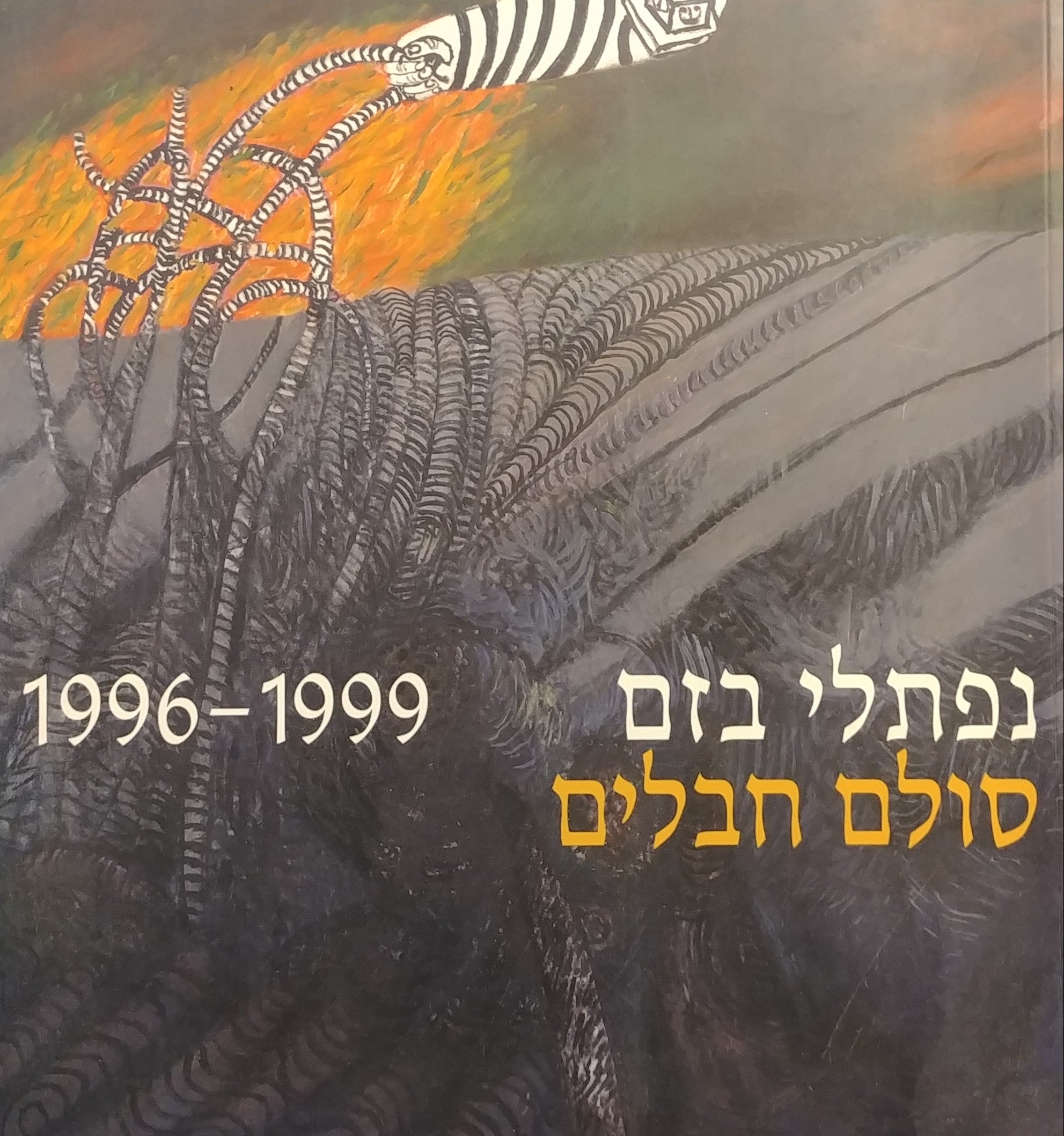 סולם חבלים 1996-1999