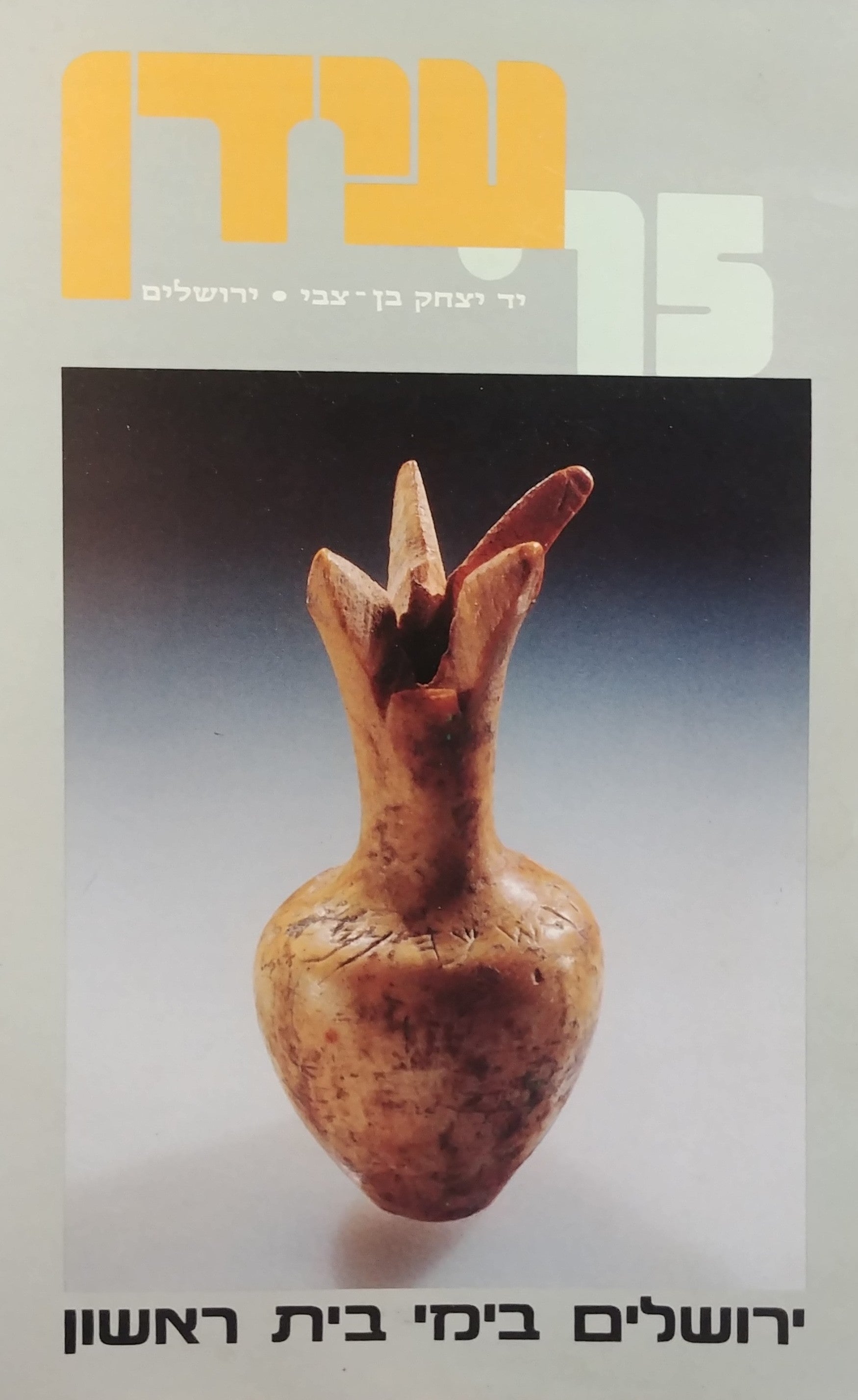ירושלים בימי בית ראשון / מקורות סיכומים פרשיות נבחרות וחומר עזר