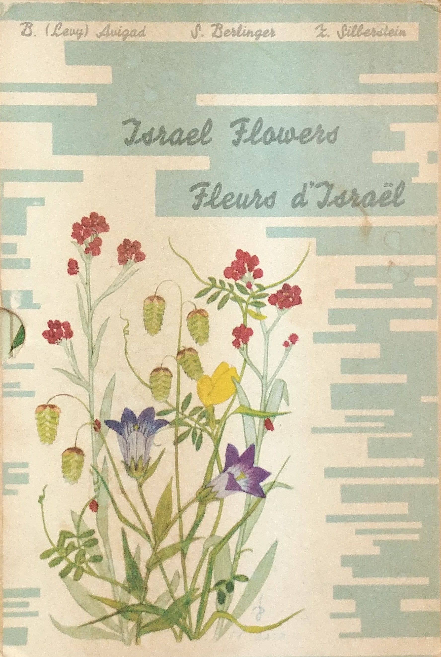 חורש הכרמל - פרחי הגליל - פרחי החוף והכרמל - פרחי הכרמל / ארבעת הכרכים במארז