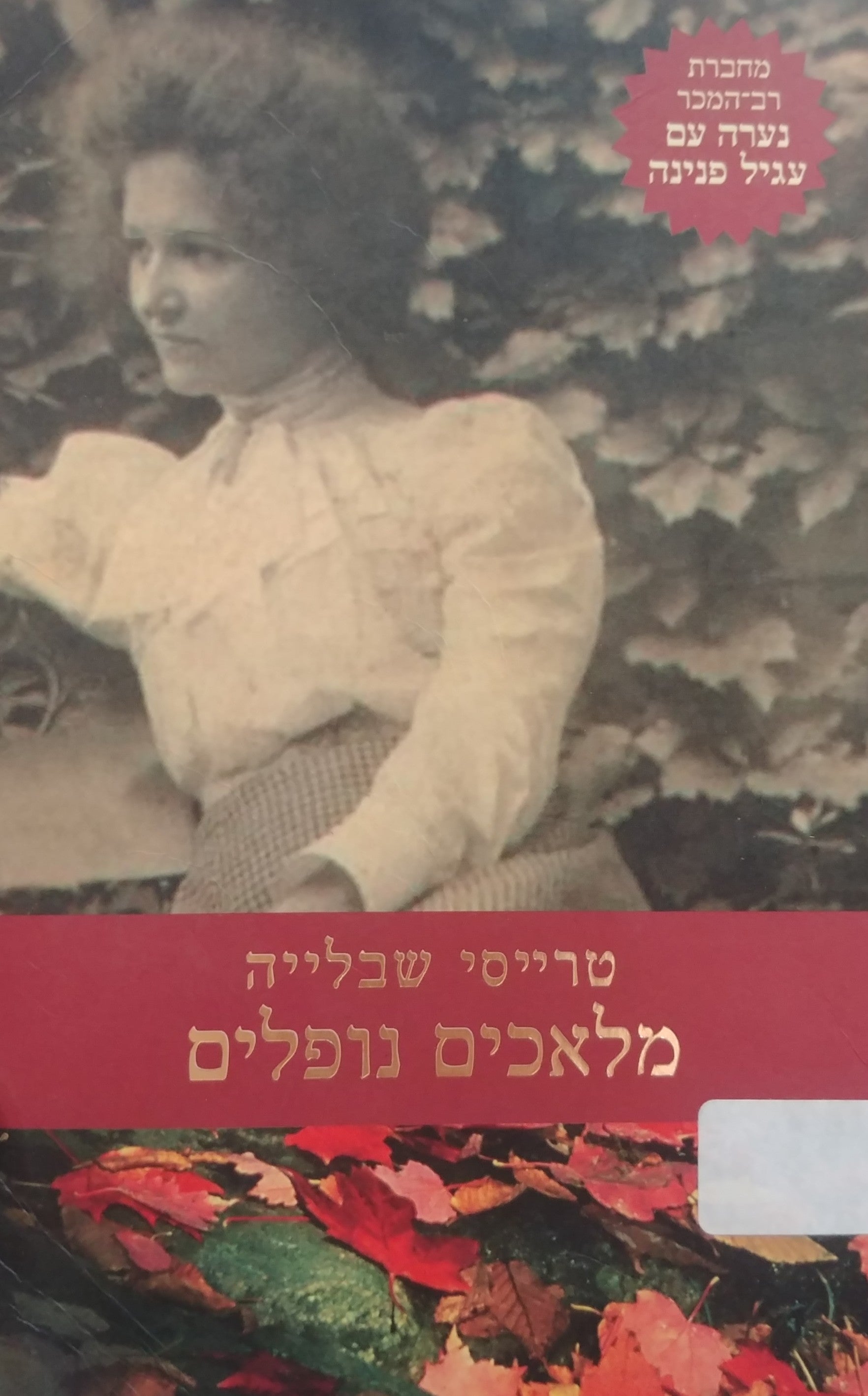 מלאכים נופלים