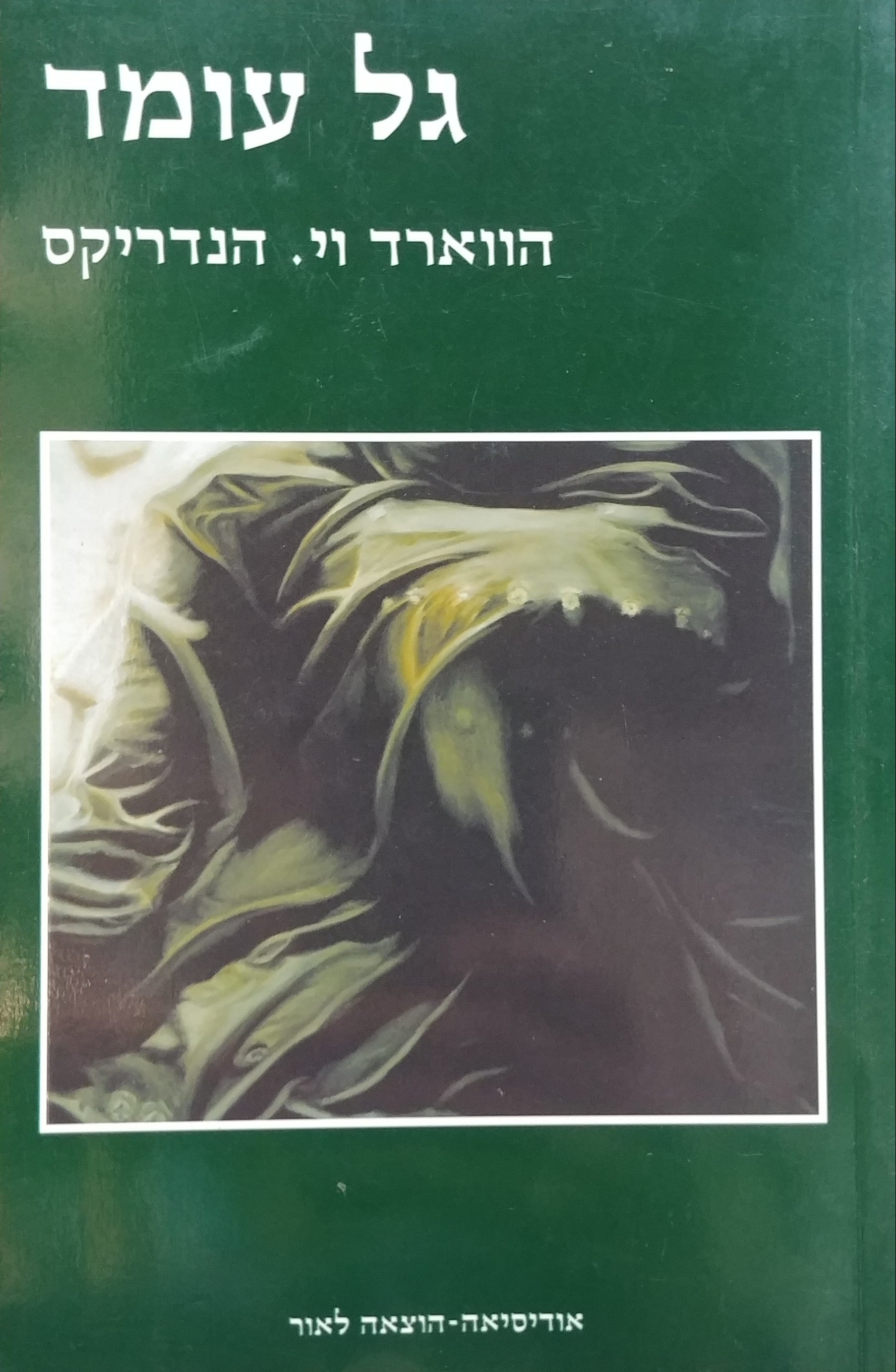 גל עומד